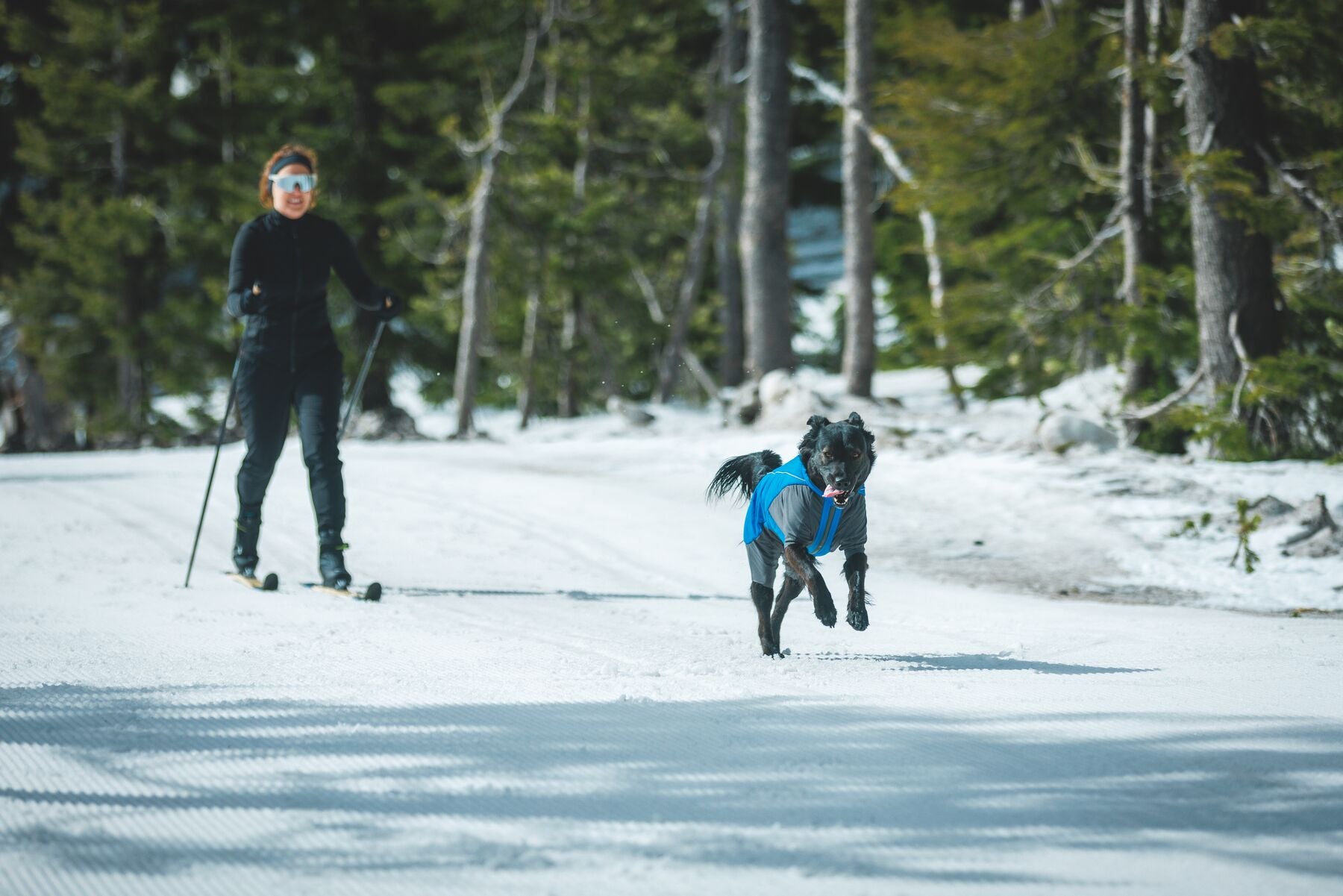 Vert™ Coverall Chamarra Impermeable de Cobertura Total para Perros - Aislada para Bajas Temperaturas | Ruffwear