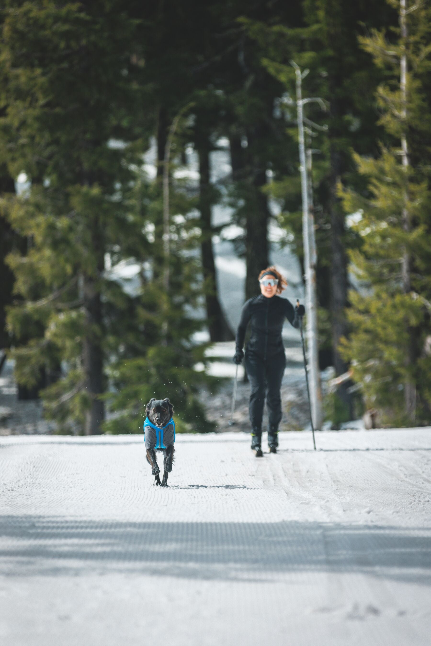 Vert™ Coverall Chamarra Impermeable de Cobertura Total para Perros - Aislada para Bajas Temperaturas | Ruffwear