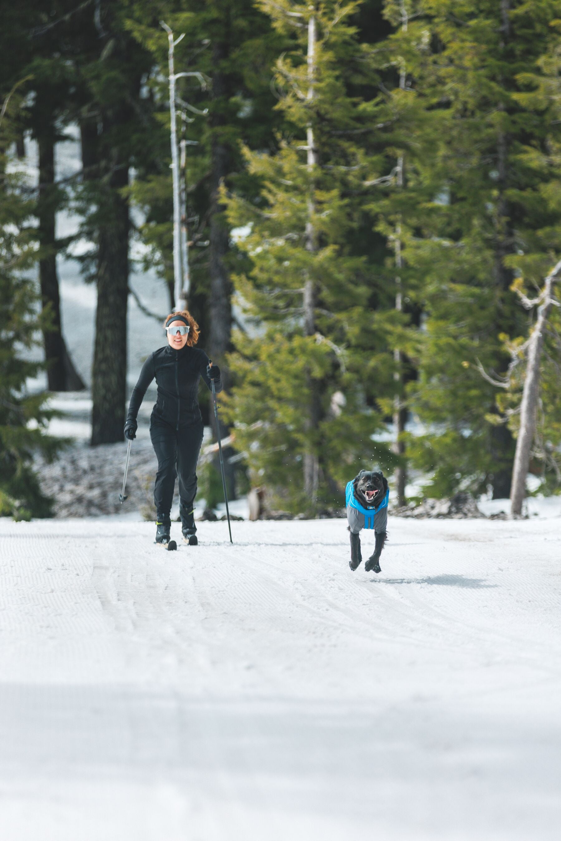 Vert™ Coverall Chamarra Impermeable de Cobertura Total para Perros - Aislada para Bajas Temperaturas | Ruffwear