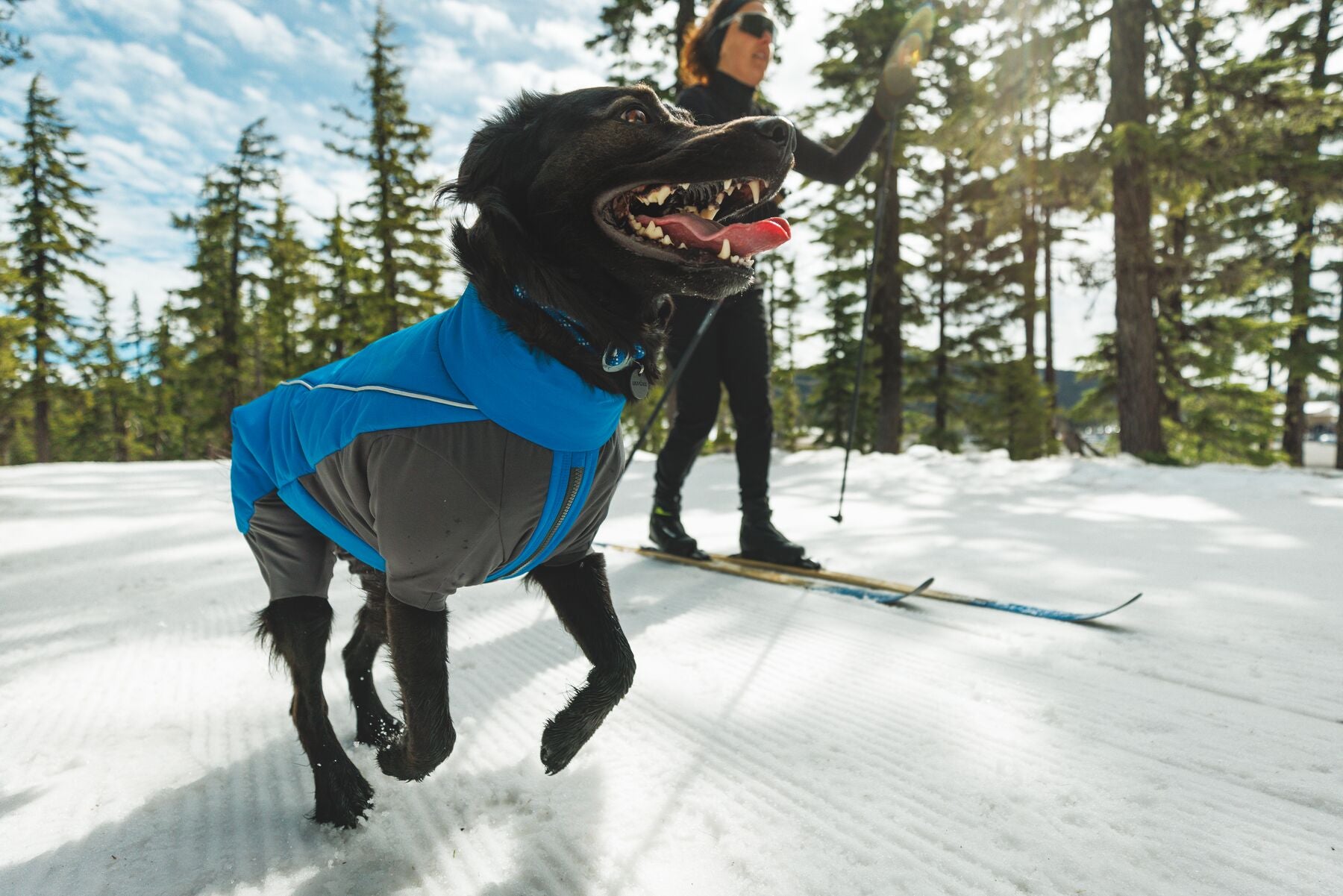 Vert™ Coverall Chamarra Impermeable de Cobertura Total para Perros - Aislada para Bajas Temperaturas | Ruffwear