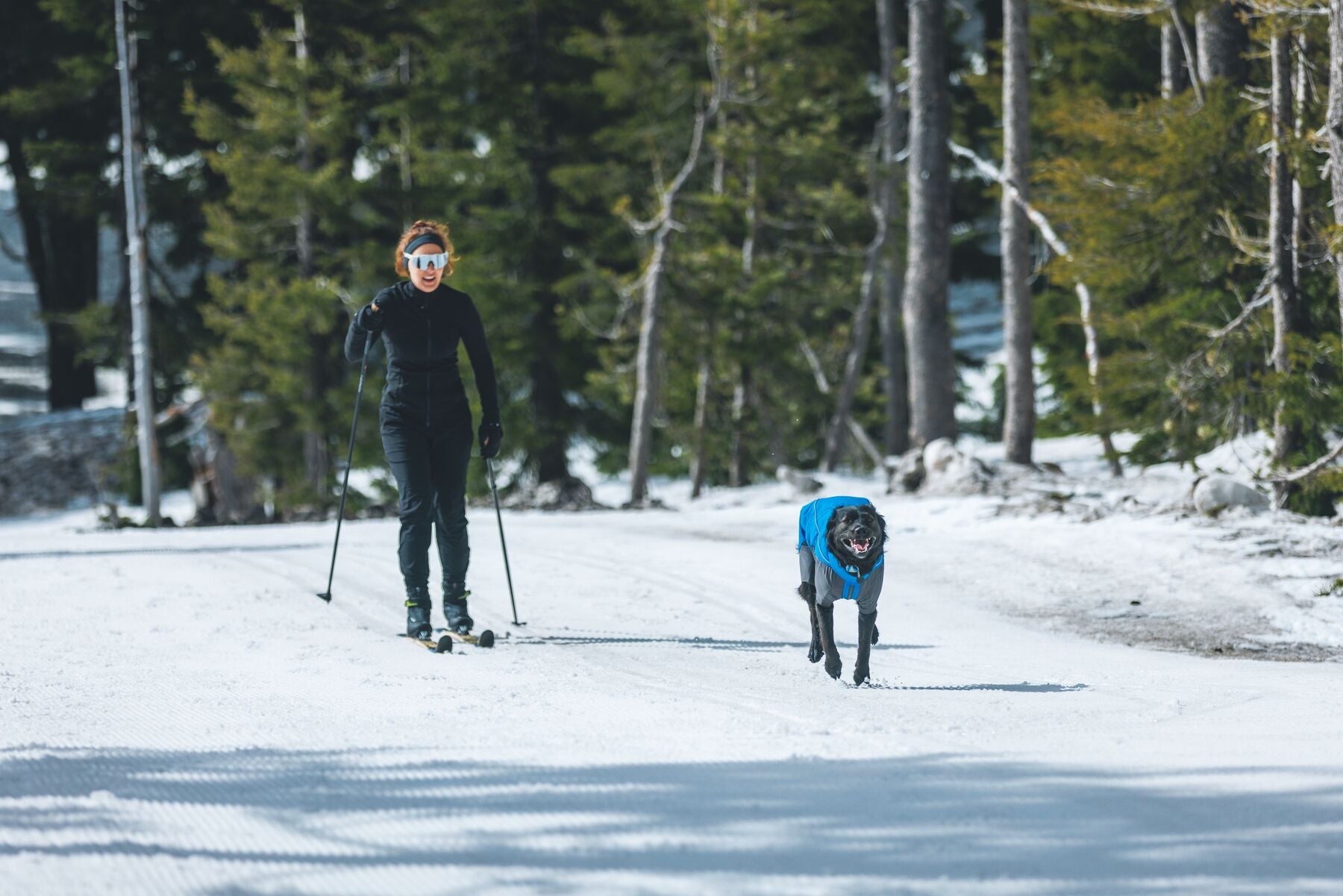 Vert™ Coverall Chamarra Impermeable de Cobertura Total para Perros - Aislada para Bajas Temperaturas | Ruffwear