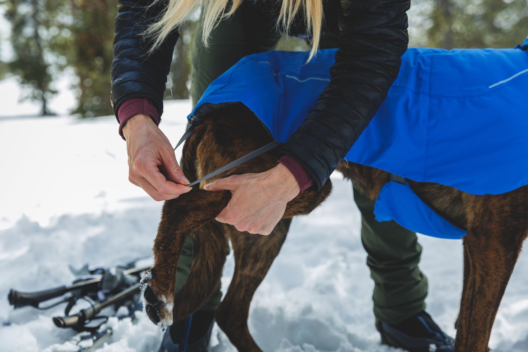 Chamarra para Perro Vert Jacket™ en Amarillo Mineral (Mineral Yellow) | Ruffwear