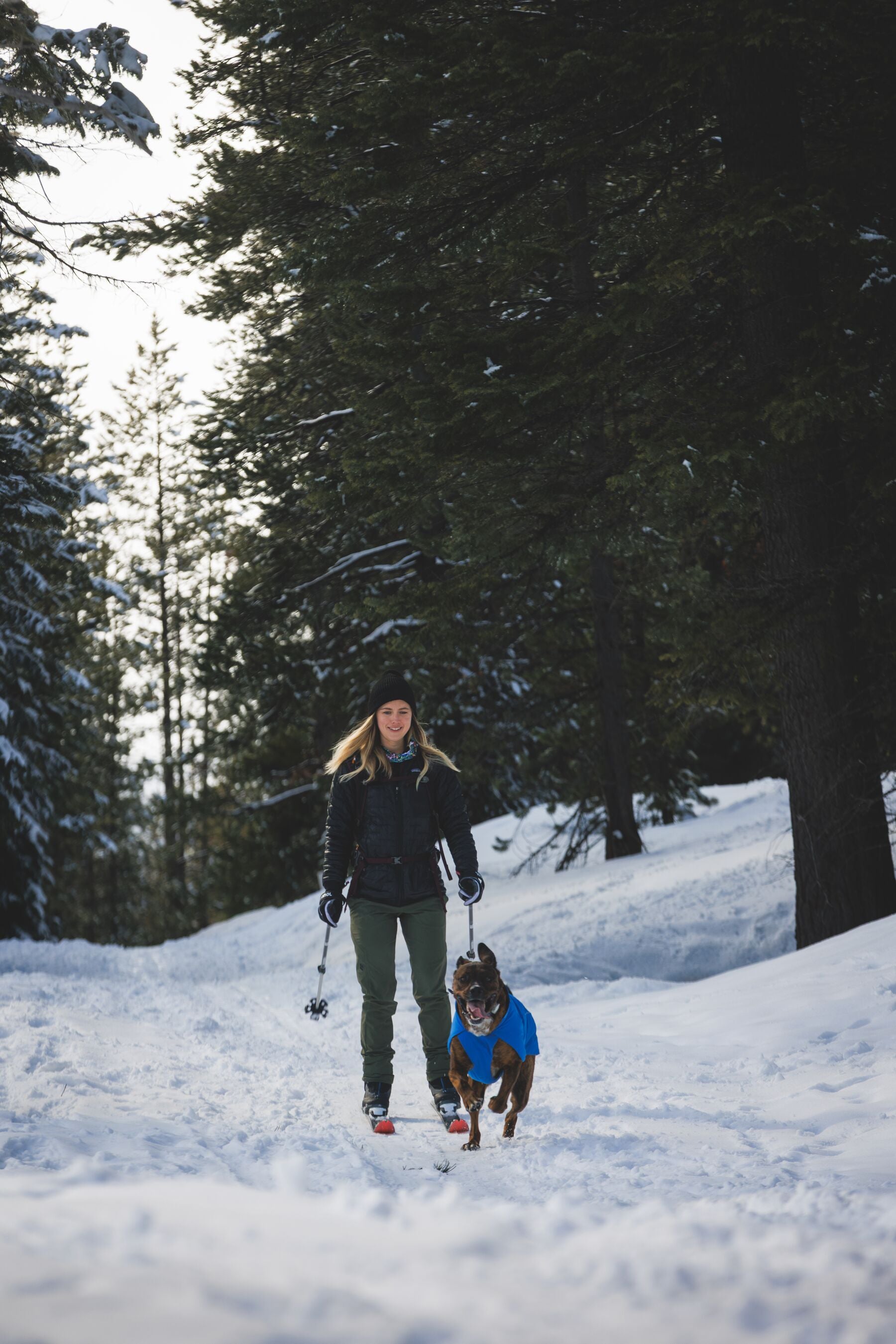 Chamarra para Perro Vert Jacket™ en Amarillo Mineral (Mineral Yellow) | Ruffwear