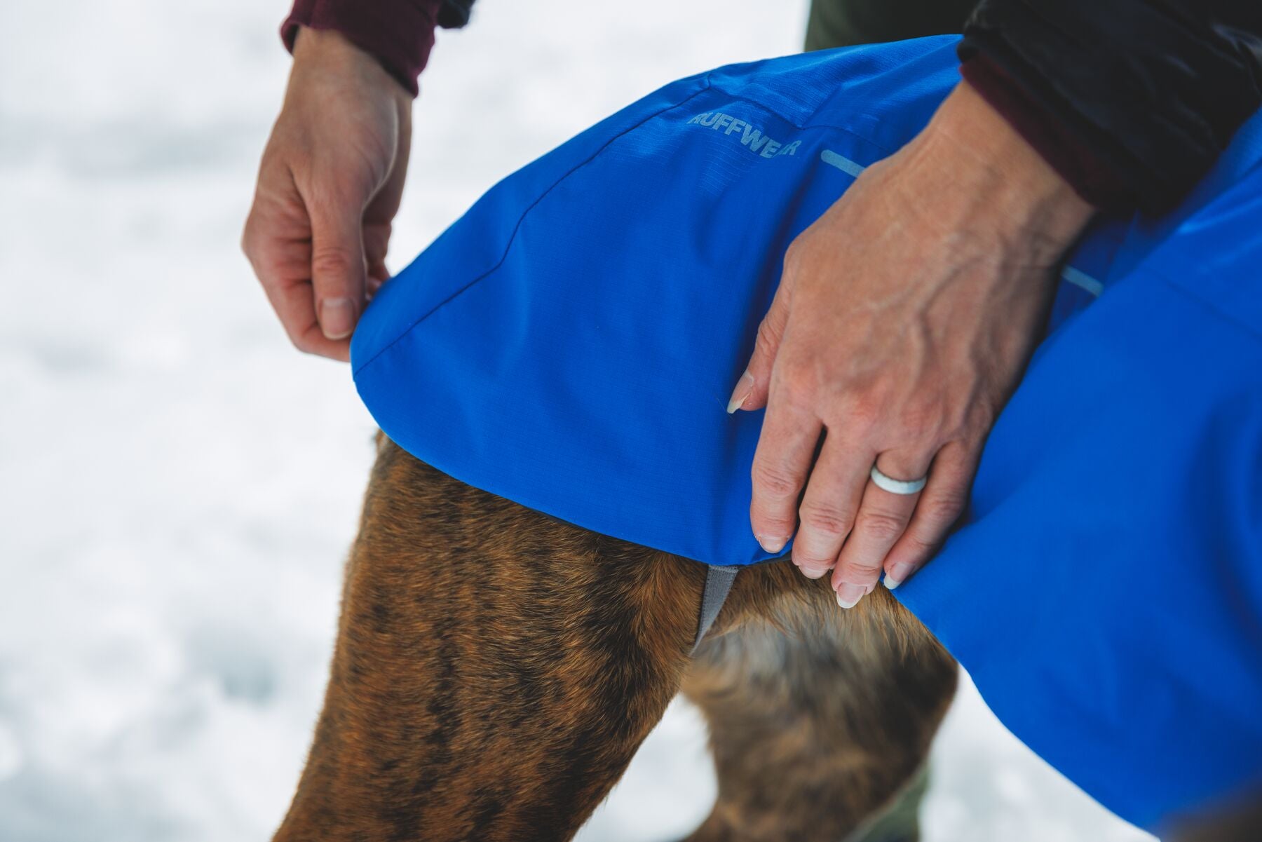 Chamarra para Perro Vert Jacket™ en Amarillo Mineral (Mineral Yellow) | Ruffwear