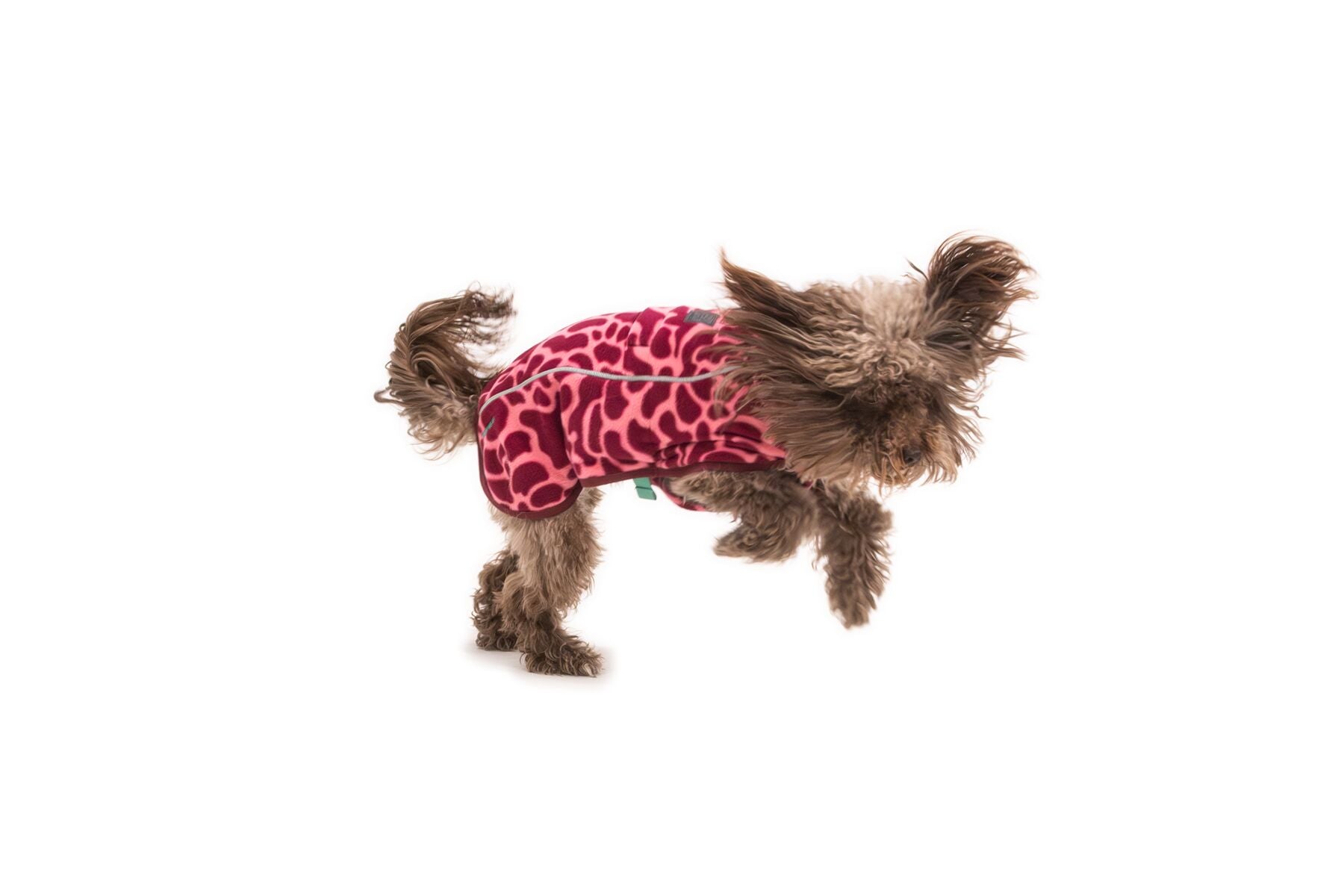 Climate Changer™ Suéter de Felpa Polar Tipo Chaleco para Perros - Rosa Lava (Berry Lava) | Ruffwear