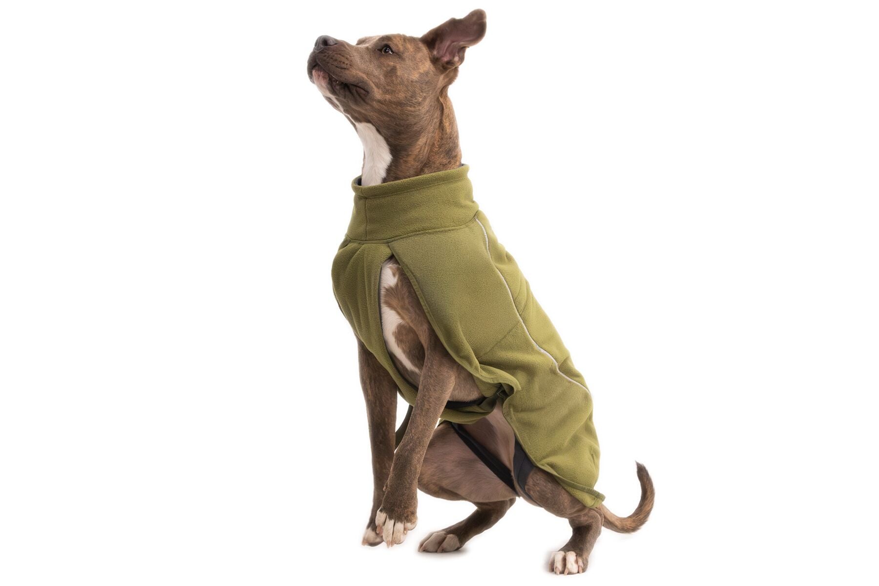 Climate Changer™ Suéter de Felpa Polar Tipo Chaleco para Perros - Verde Cedro (Cedar Green) | Ruffwear