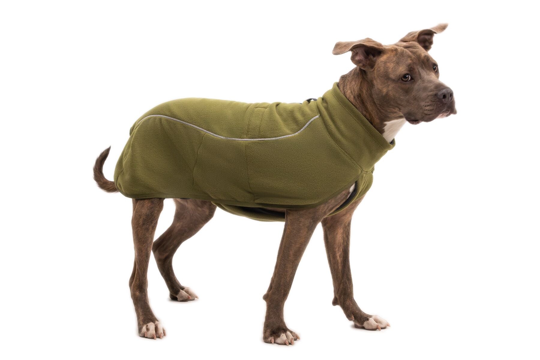 Climate Changer™ Suéter de Felpa Polar Tipo Chaleco para Perros - Verde Cedro (Cedar Green) | Ruffwear