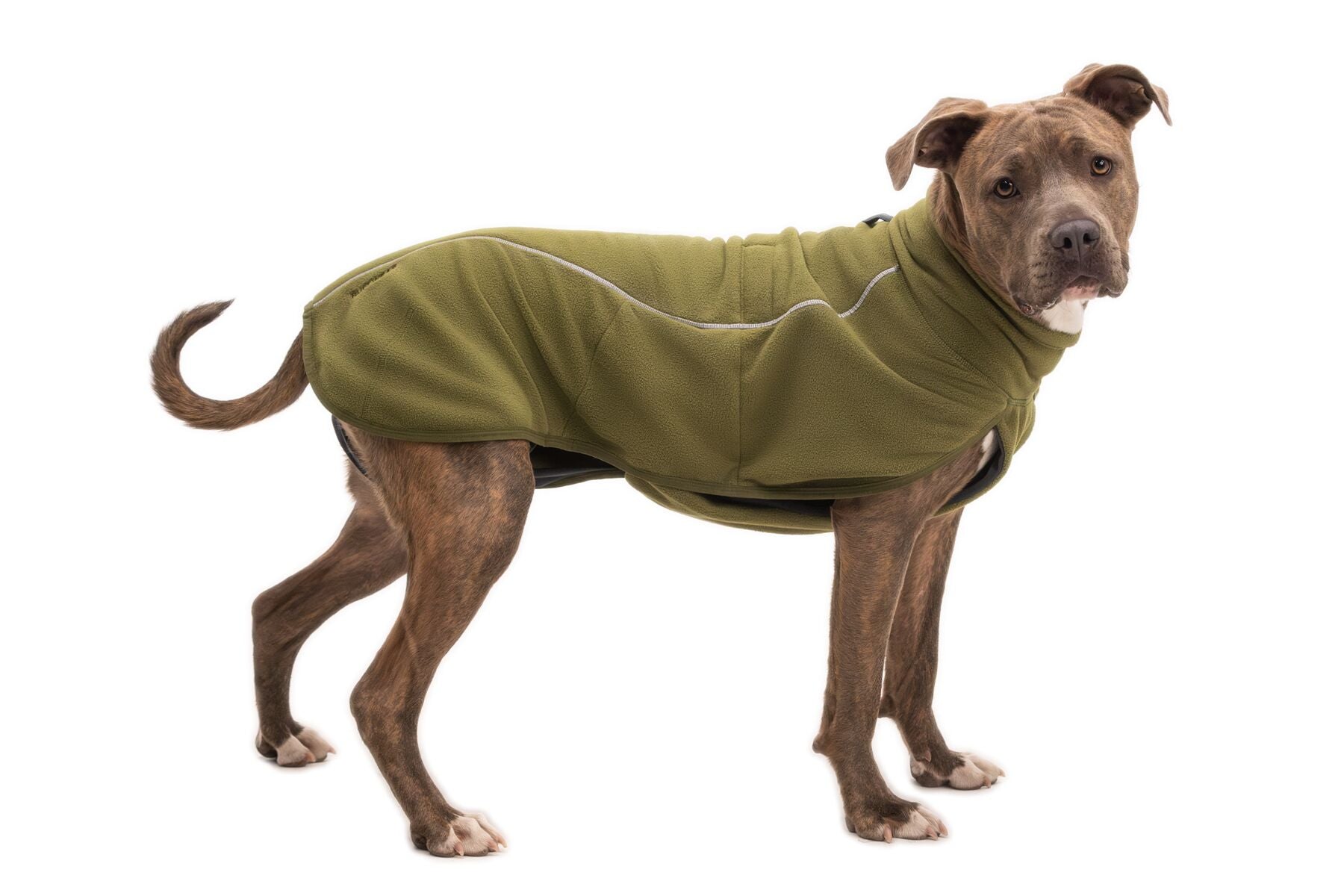 Climate Changer™ Suéter de Felpa Polar Tipo Chaleco para Perros - Verde Cedro (Cedar Green) | Ruffwear