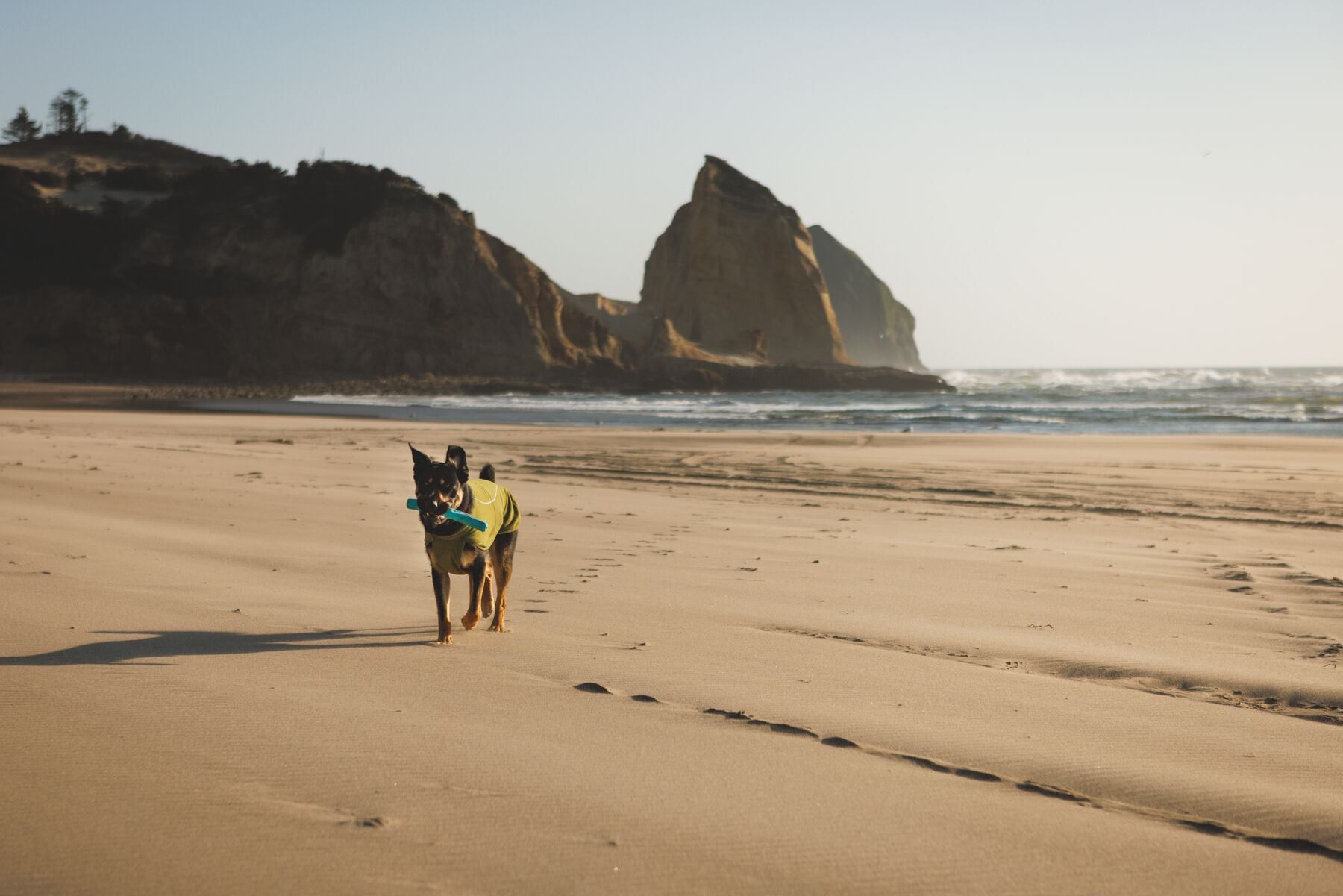 Climate Changer™ Suéter de Felpa Polar Tipo Chaleco para Perros - Gris Basalto (Basalt Gray) | Ruffwear