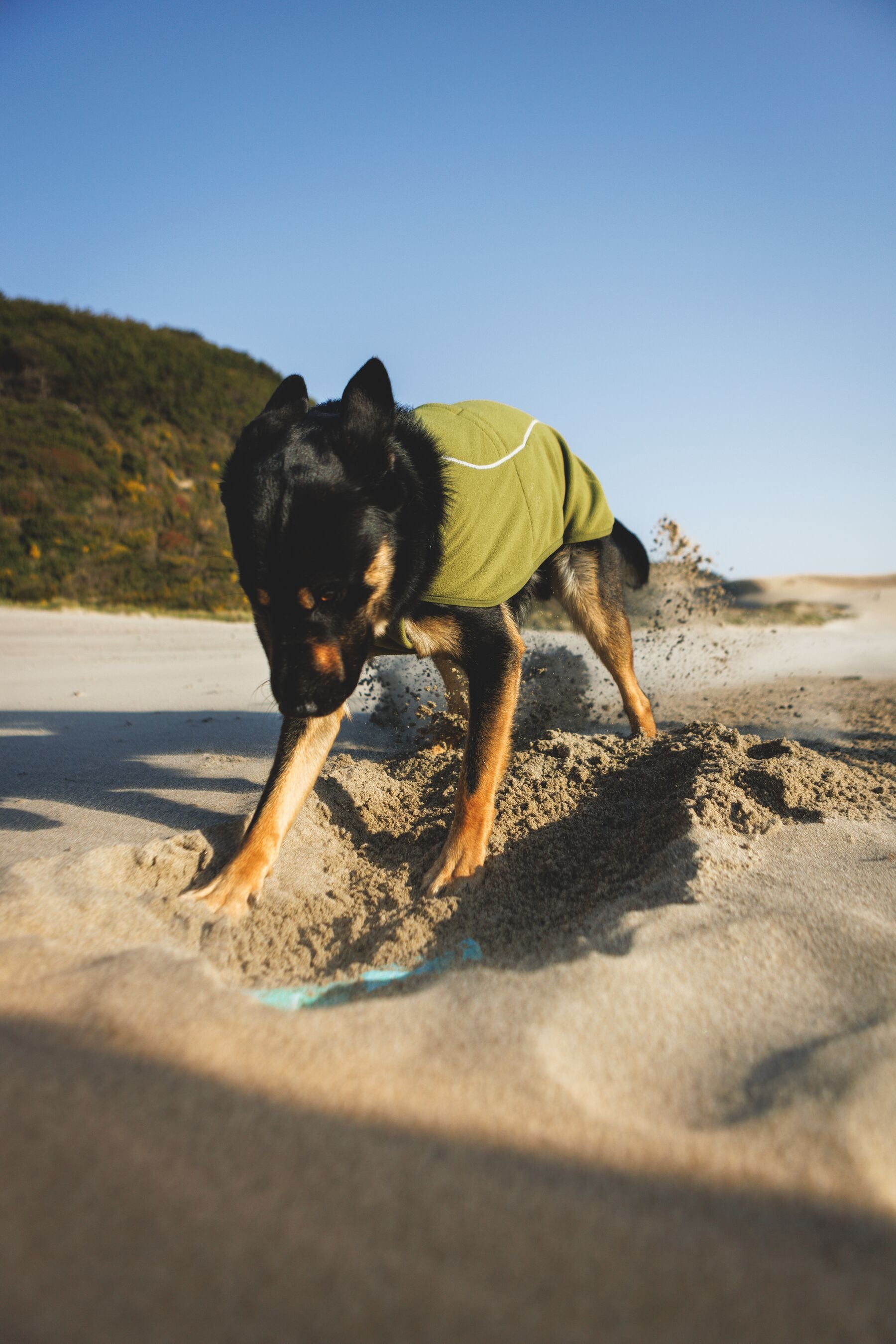 Climate Changer™ Suéter de Felpa Polar Tipo Chaleco para Perros - Gris Basalto (Basalt Gray) | Ruffwear