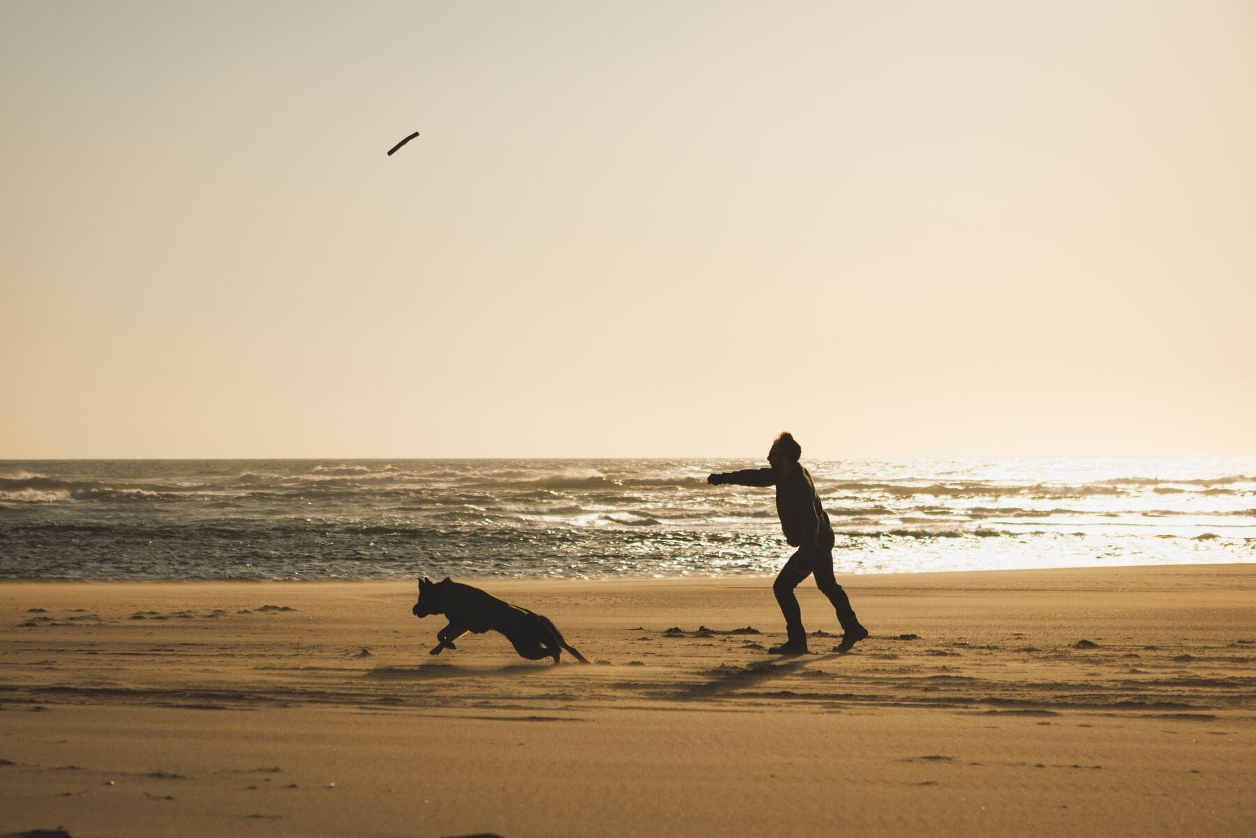 Climate Changer™ Suéter de Felpa Polar Tipo Chaleco para Perros - Gris Basalto (Basalt Gray) | Ruffwear