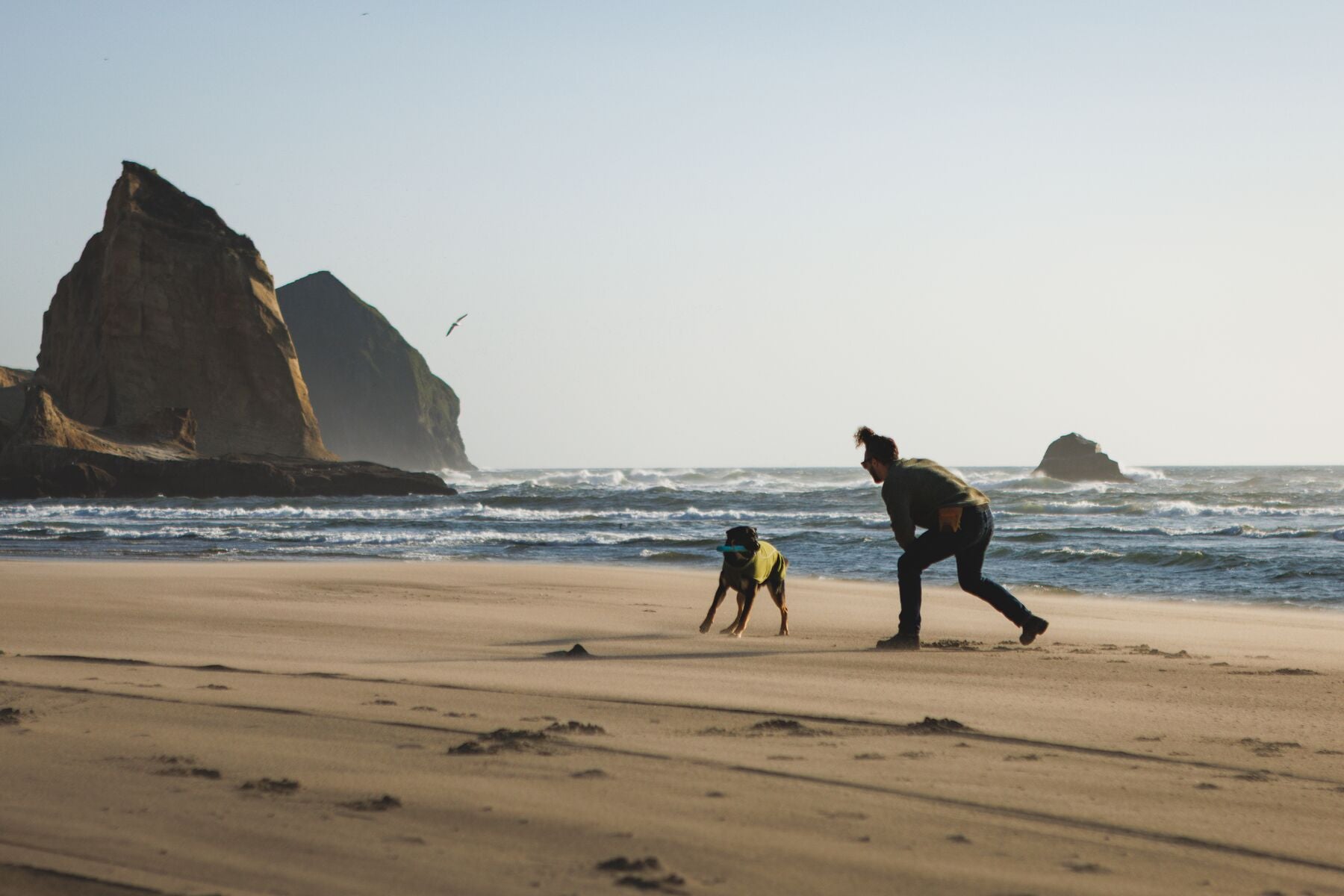 Climate Changer™ Suéter de Felpa Polar Tipo Chaleco para Perros - Gris Basalto (Basalt Gray) | Ruffwear