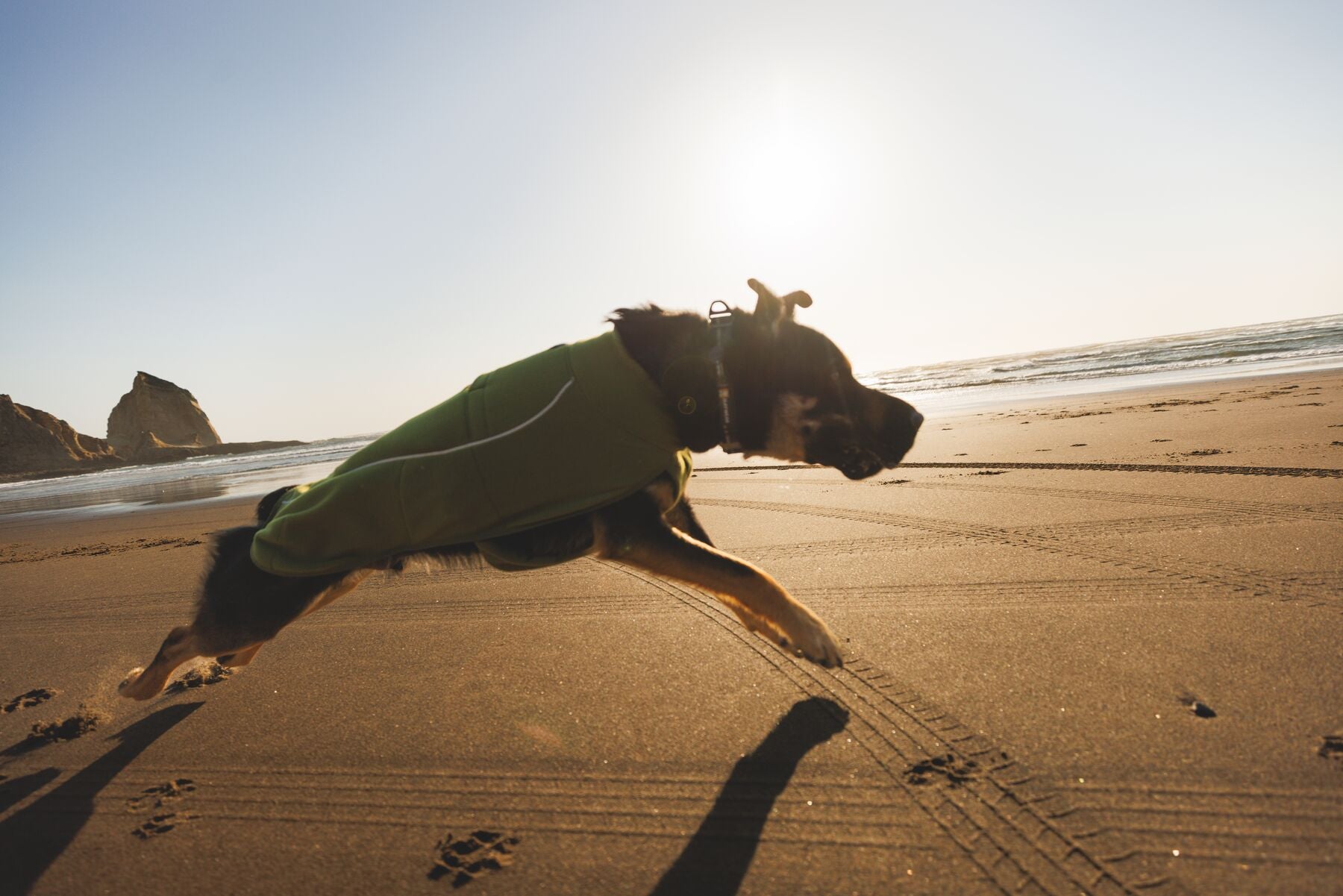 Climate Changer™ Suéter de Felpa Polar Tipo Chaleco para Perros - Gris Basalto (Basalt Gray) | Ruffwear