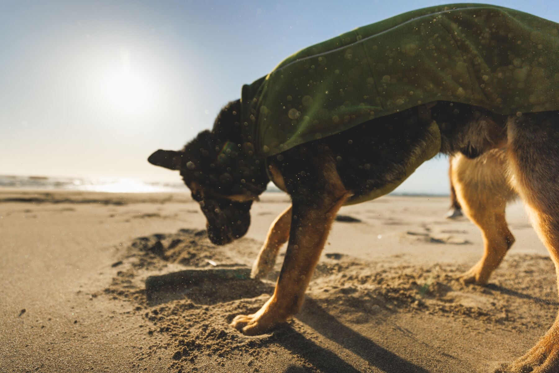 Climate Changer™ Suéter de Felpa Polar Tipo Chaleco para Perros - Gris Basalto (Basalt Gray) | Ruffwear