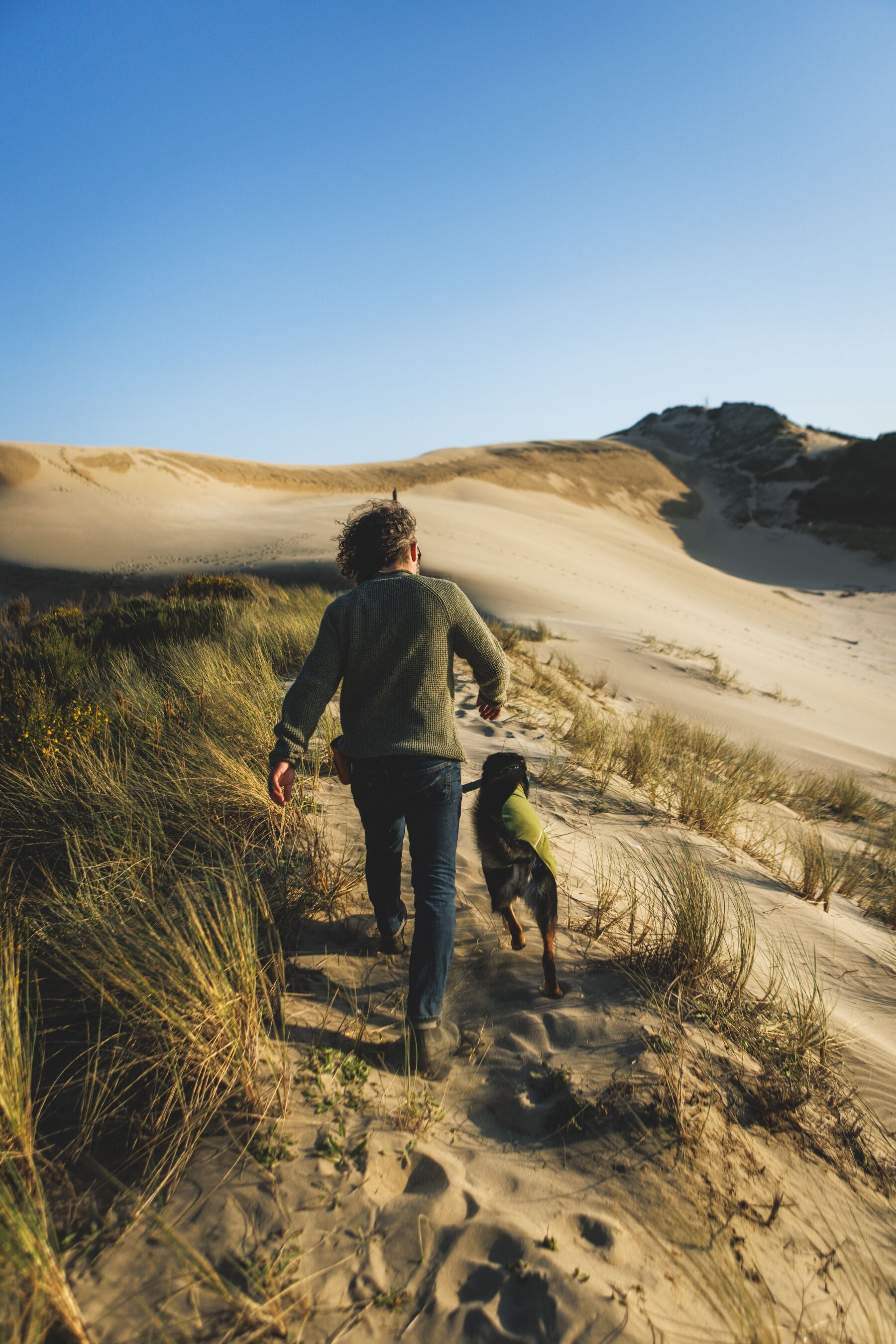 Climate Changer™ Suéter de Felpa Polar Tipo Chaleco para Perros - Gris Basalto (Basalt Gray) | Ruffwear