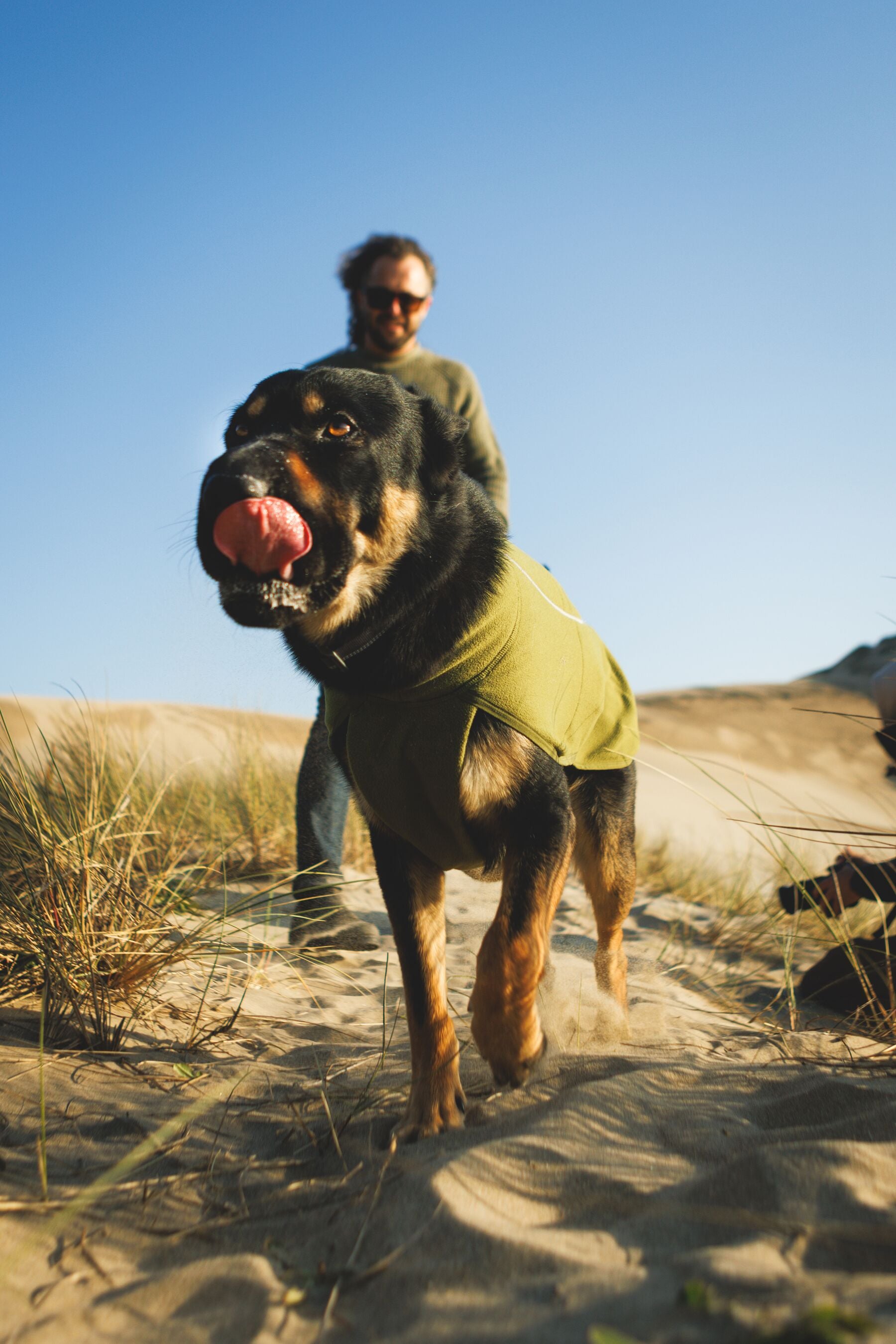 Climate Changer™ Suéter de Felpa Polar Tipo Chaleco para Perros - Gris Basalto (Basalt Gray) | Ruffwear
