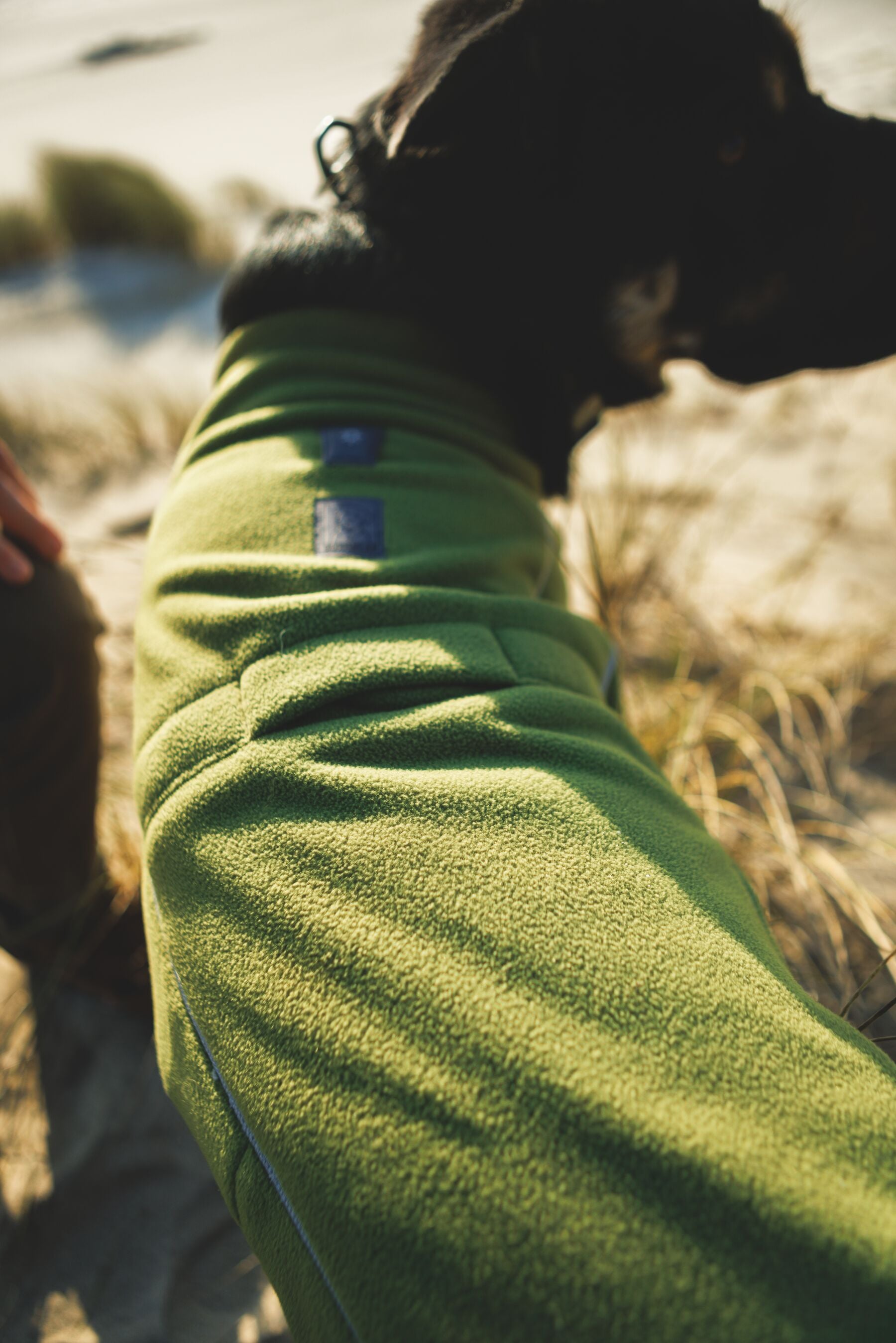 Climate Changer™ Suéter de Felpa Polar Tipo Chaleco para Perros - Gris Basalto (Basalt Gray) | Ruffwear