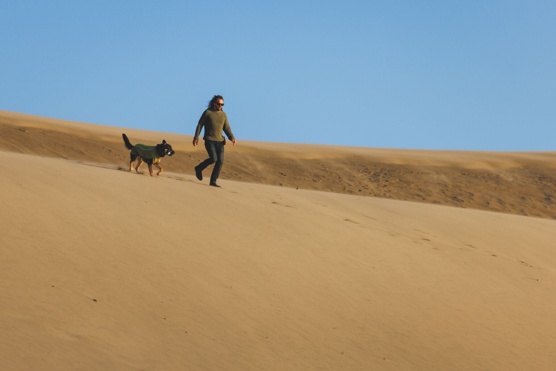 Climate Changer™ Suéter de Felpa Polar Tipo Chaleco para Perros - Gris Basalto (Basalt Gray) | Ruffwear