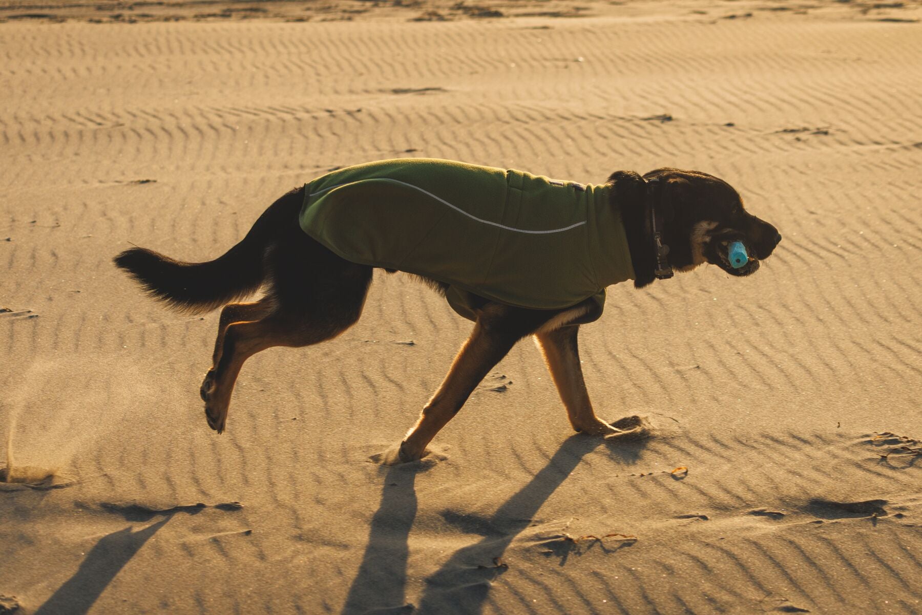 Climate Changer™ Suéter de Felpa Polar Tipo Chaleco para Perros - Gris Basalto (Basalt Gray) | Ruffwear