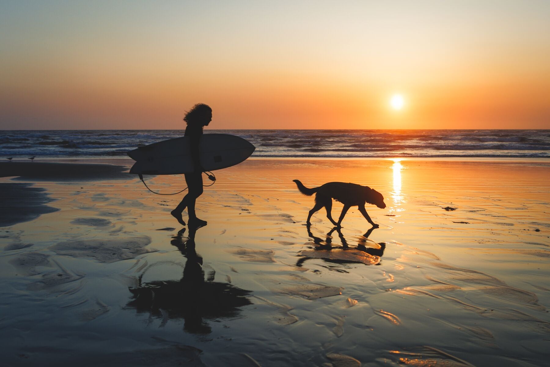 Climate Changer™ Suéter de Felpa Polar Tipo Chaleco para Perros - Gris Basalto (Basalt Gray) | Ruffwear