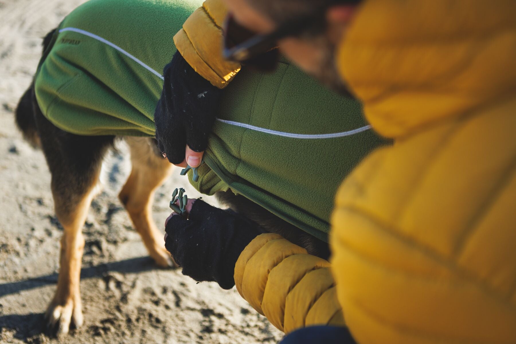 Climate Changer™ Suéter de Felpa Polar Tipo Chaleco para Perros - Verde Cedro (Cedar Green) | Ruffwear