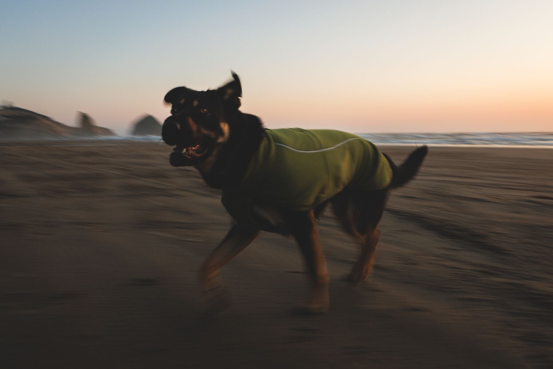 Climate Changer™ Suéter de Felpa Polar Tipo Chaleco para Perros - Gris Basalto (Basalt Gray) | Ruffwear