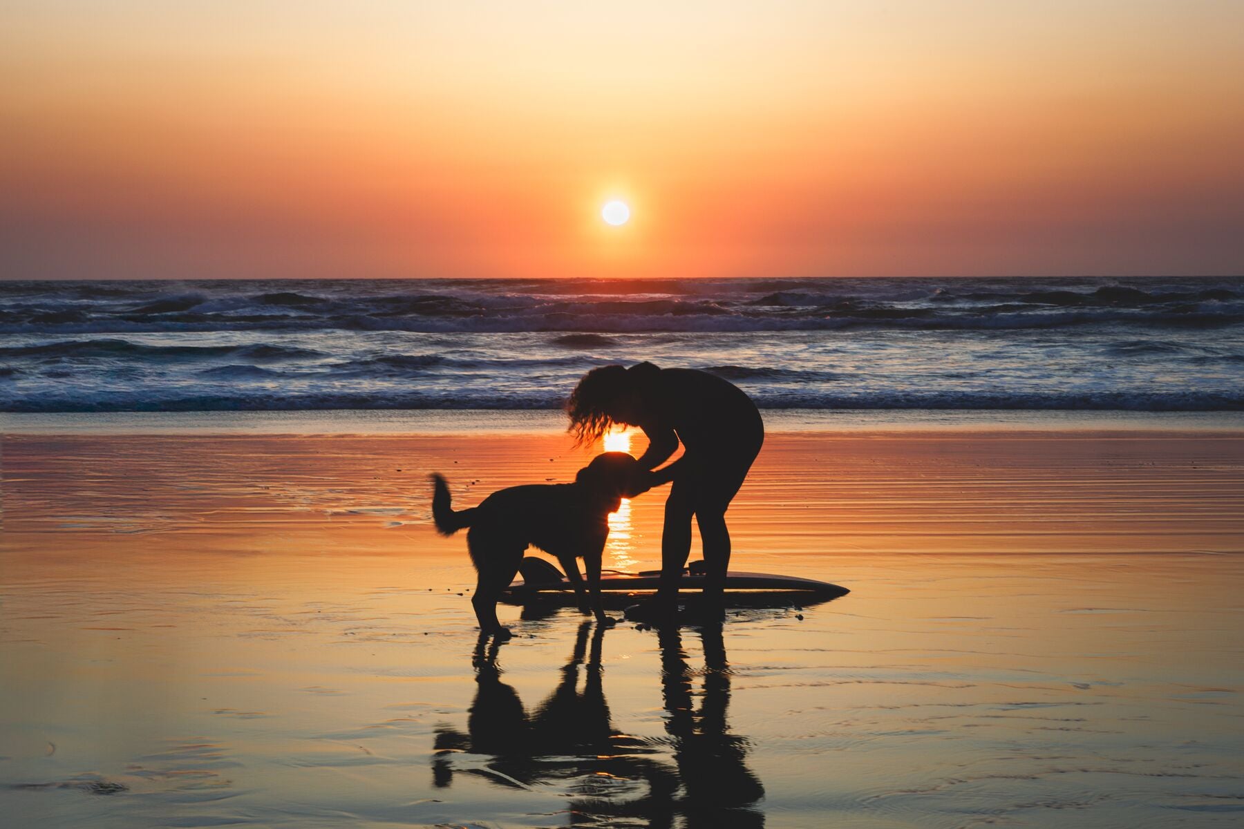 Climate Changer™ Suéter de Felpa Polar Tipo Chaleco para Perros - Gris Basalto (Basalt Gray) | Ruffwear