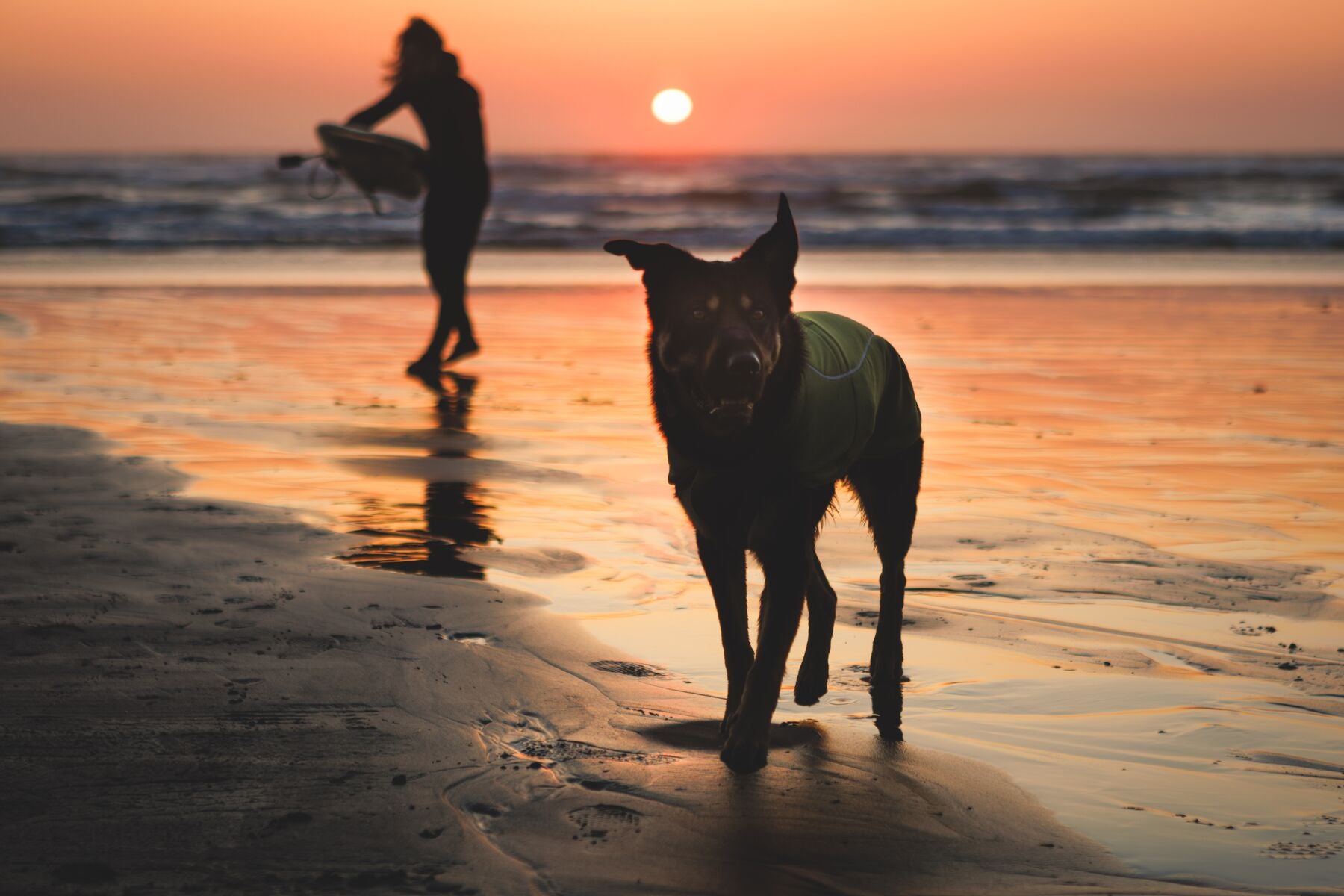 Climate Changer™ Suéter de Felpa Polar Tipo Chaleco para Perros - Gris Basalto (Basalt Gray) | Ruffwear