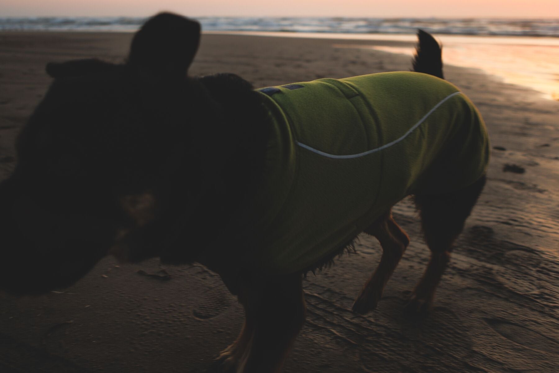 Climate Changer™ Suéter de Felpa Polar Tipo Chaleco para Perros - Gris Basalto (Basalt Gray) | Ruffwear