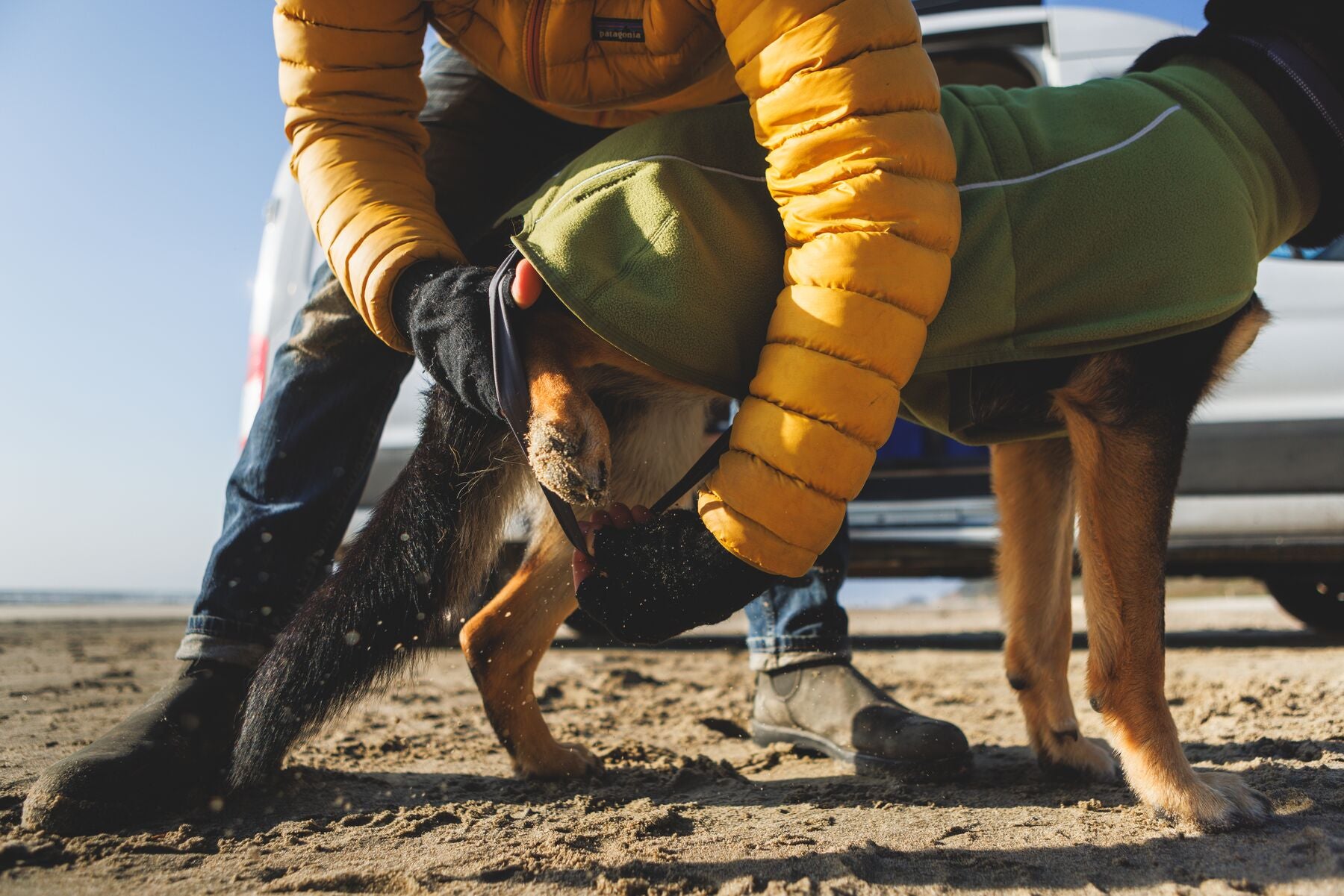 Climate Changer™ Suéter de Felpa Polar Tipo Chaleco para Perros - Verde Cedro (Cedar Green) | Ruffwear