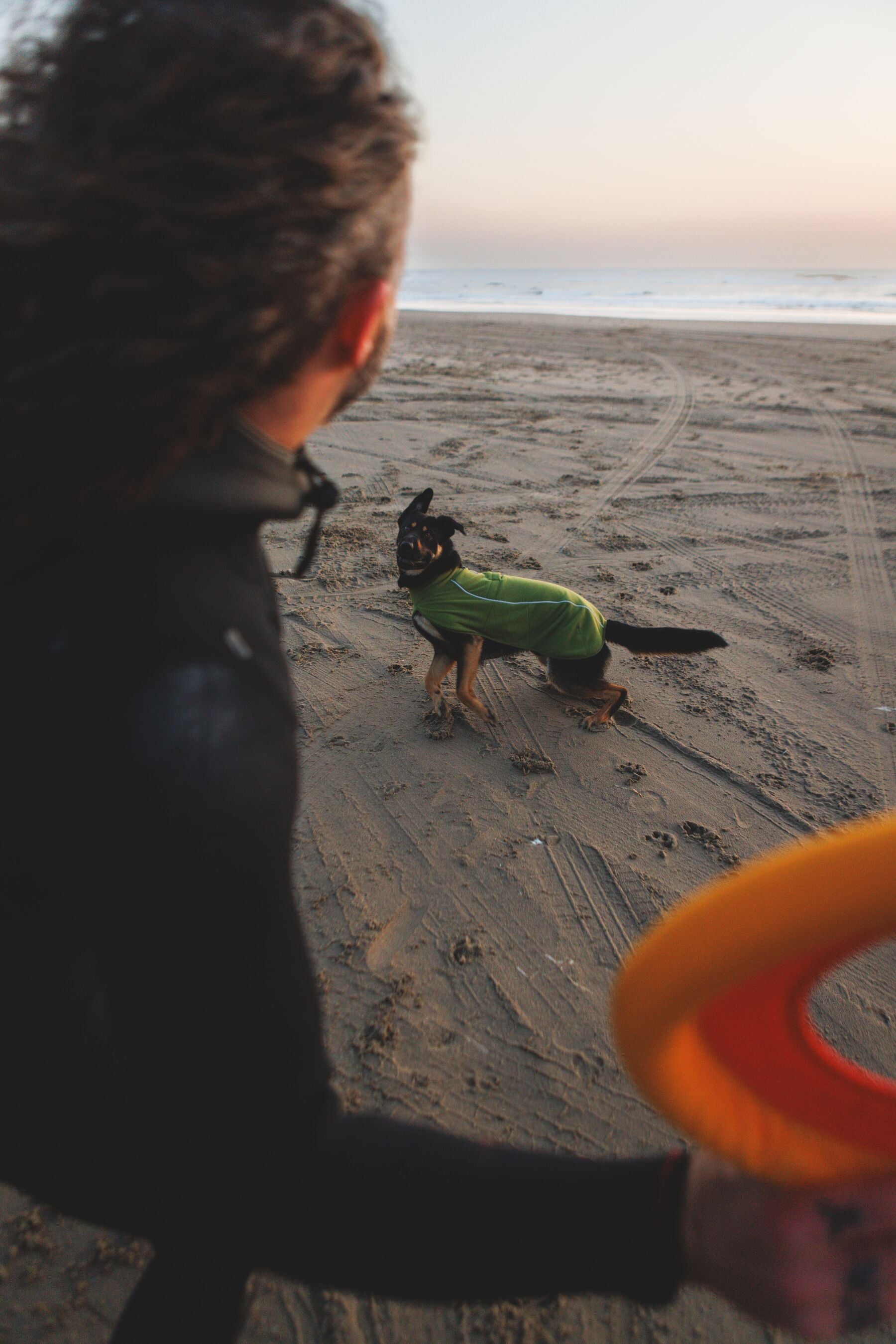 Climate Changer™ Suéter de Felpa Polar Tipo Chaleco para Perros - Gris Basalto (Basalt Gray) | Ruffwear