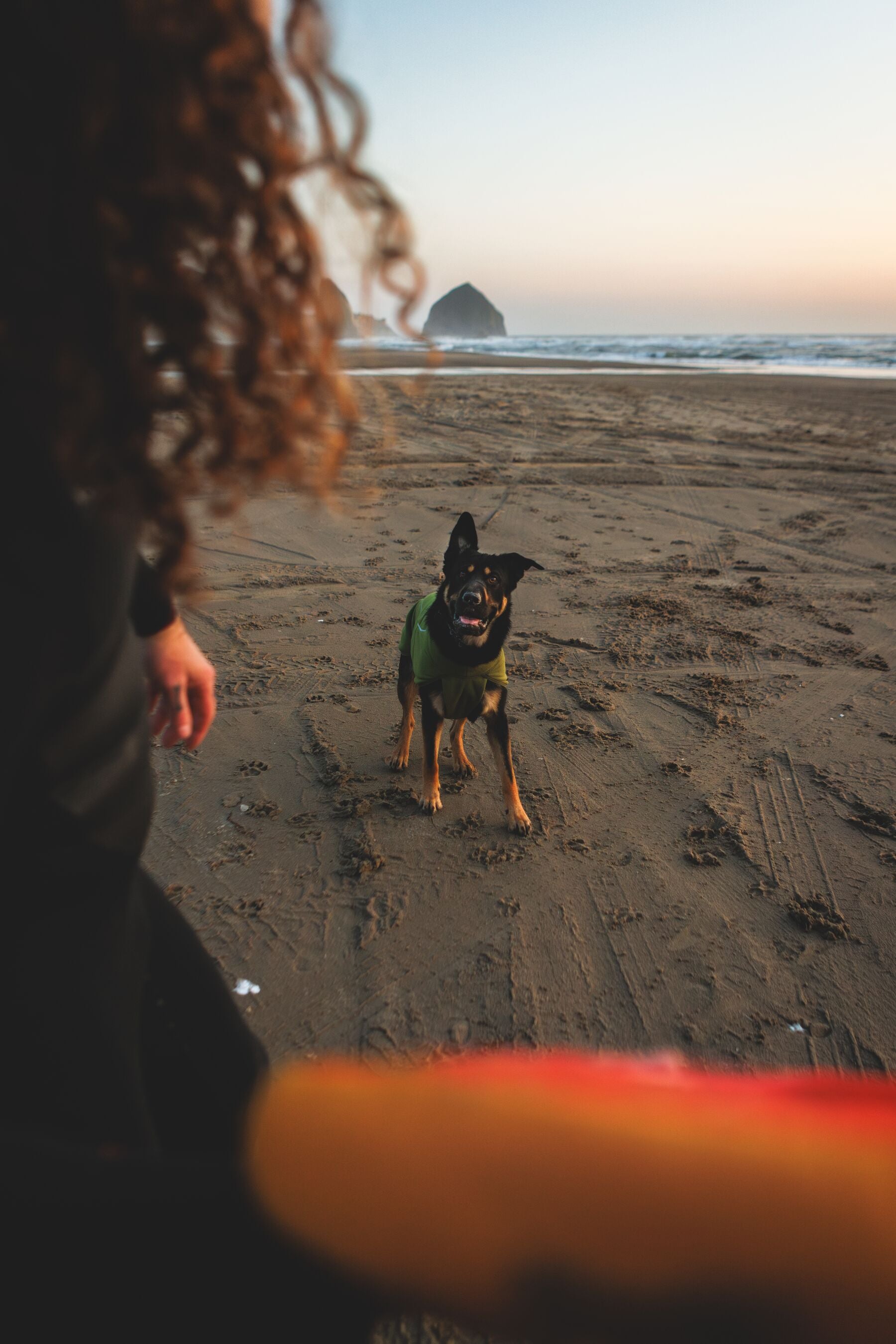 Climate Changer™ Suéter de Felpa Polar Tipo Chaleco para Perros - Gris Basalto (Basalt Gray) | Ruffwear