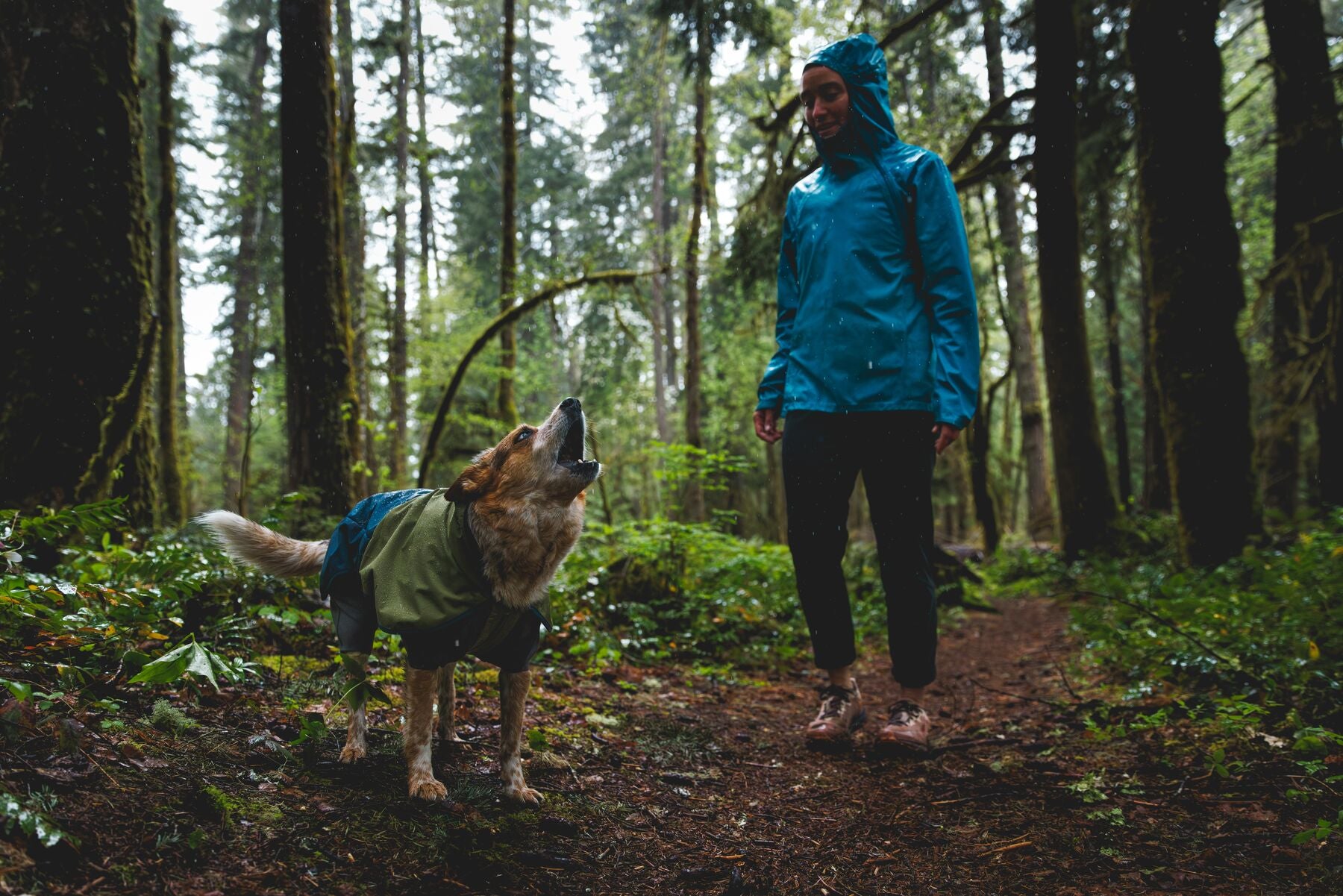 Impermeable Sun Shower™ Coverall (Overall) para Perros - Cobertura Completa y Mangas StormSleeves™ - Verde (Campfire Green) & Azul (Aurora Teal) | Ruffwear®