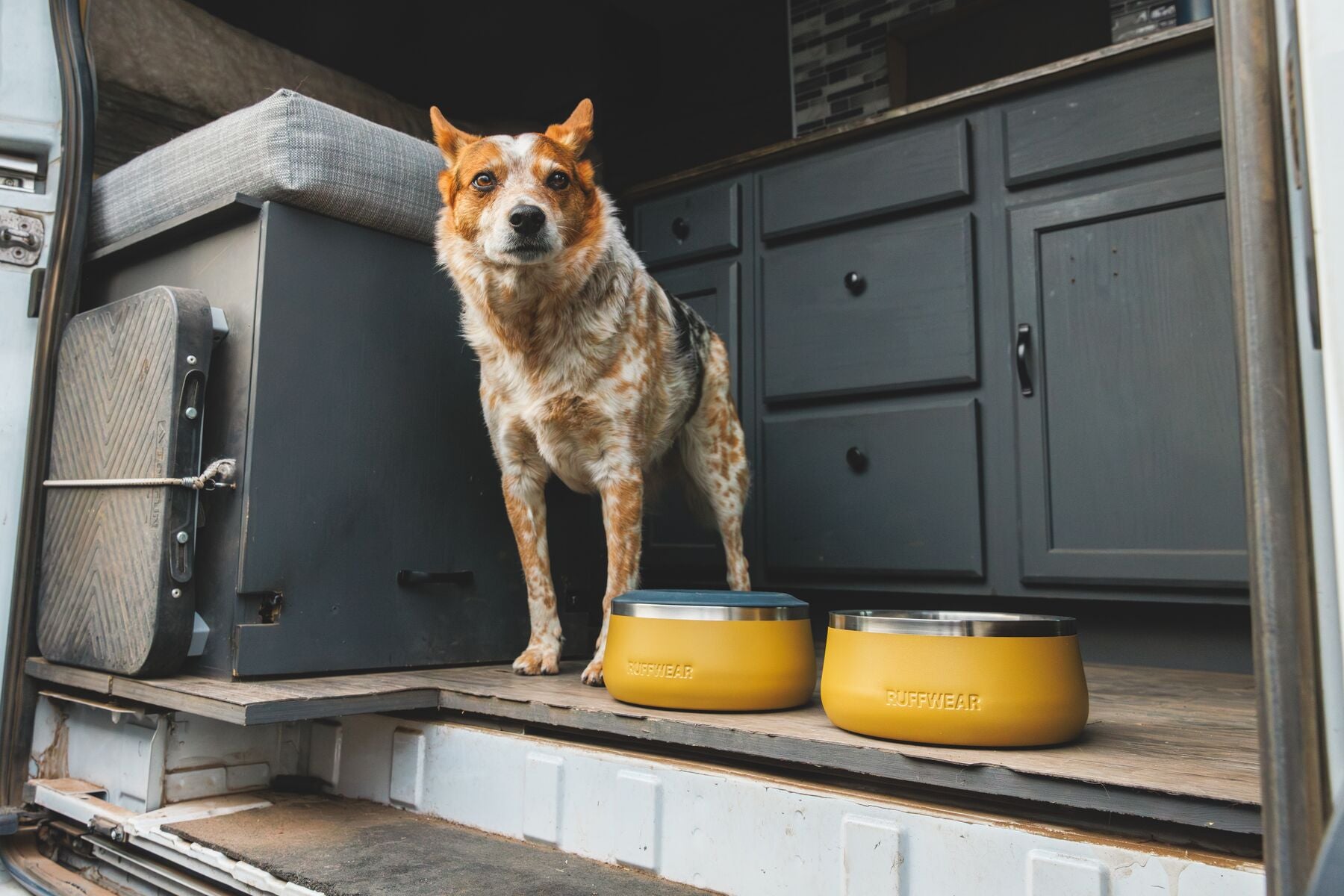 Basecamp™ Anti-Splash Ring de Ruffwear - Inserto Antisalpicaduras para Platos de Perros