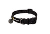Collar para Perro Front Range™ Flex Collar en Gris Basalto (Basalt Gray) | Ruffwear