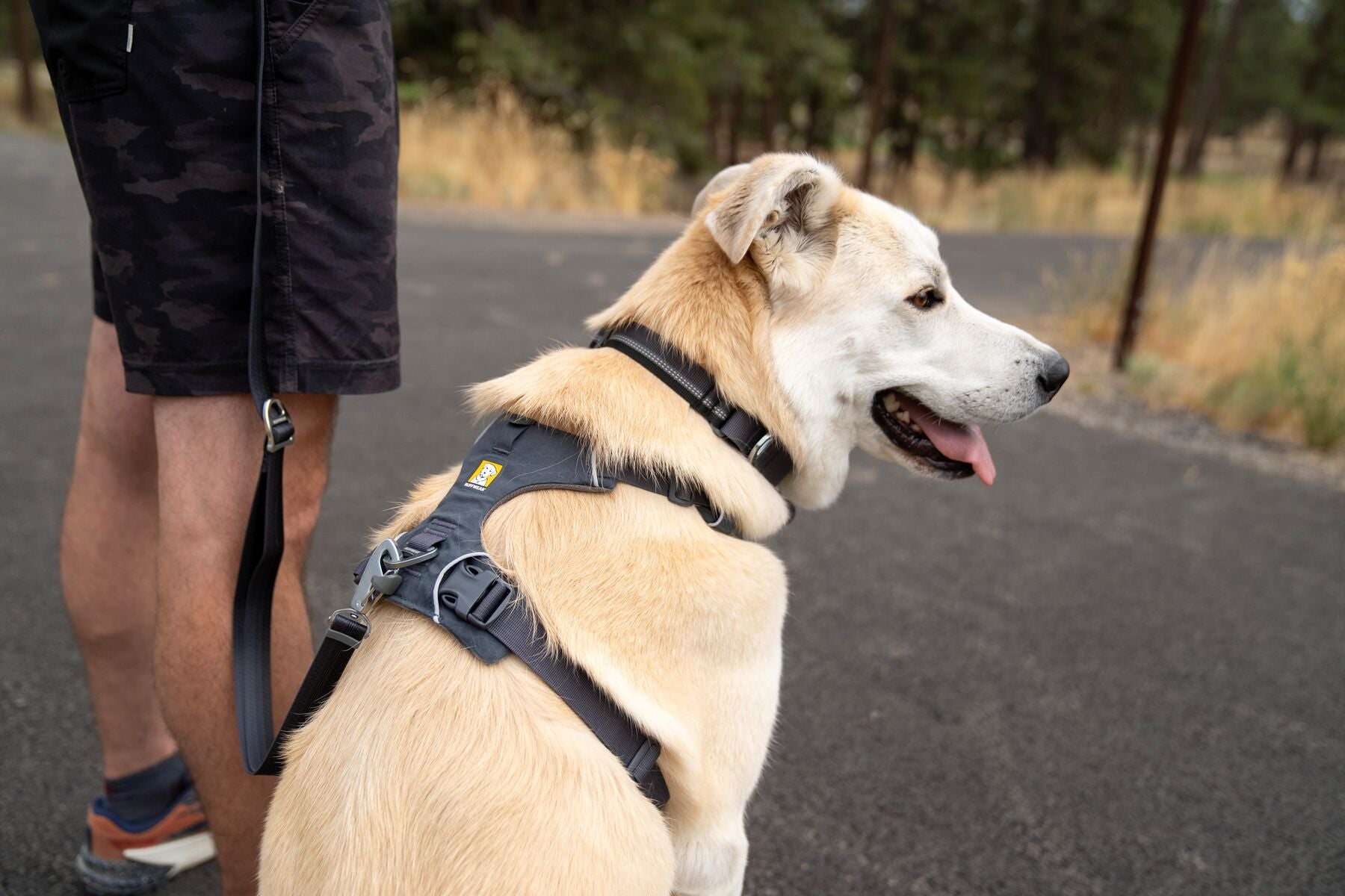 Correa Para Perro Multifuncional Manos Libres - Cuero 2.4 M, Ganchos De Cobre, Para Perros Medianos/Pequeños