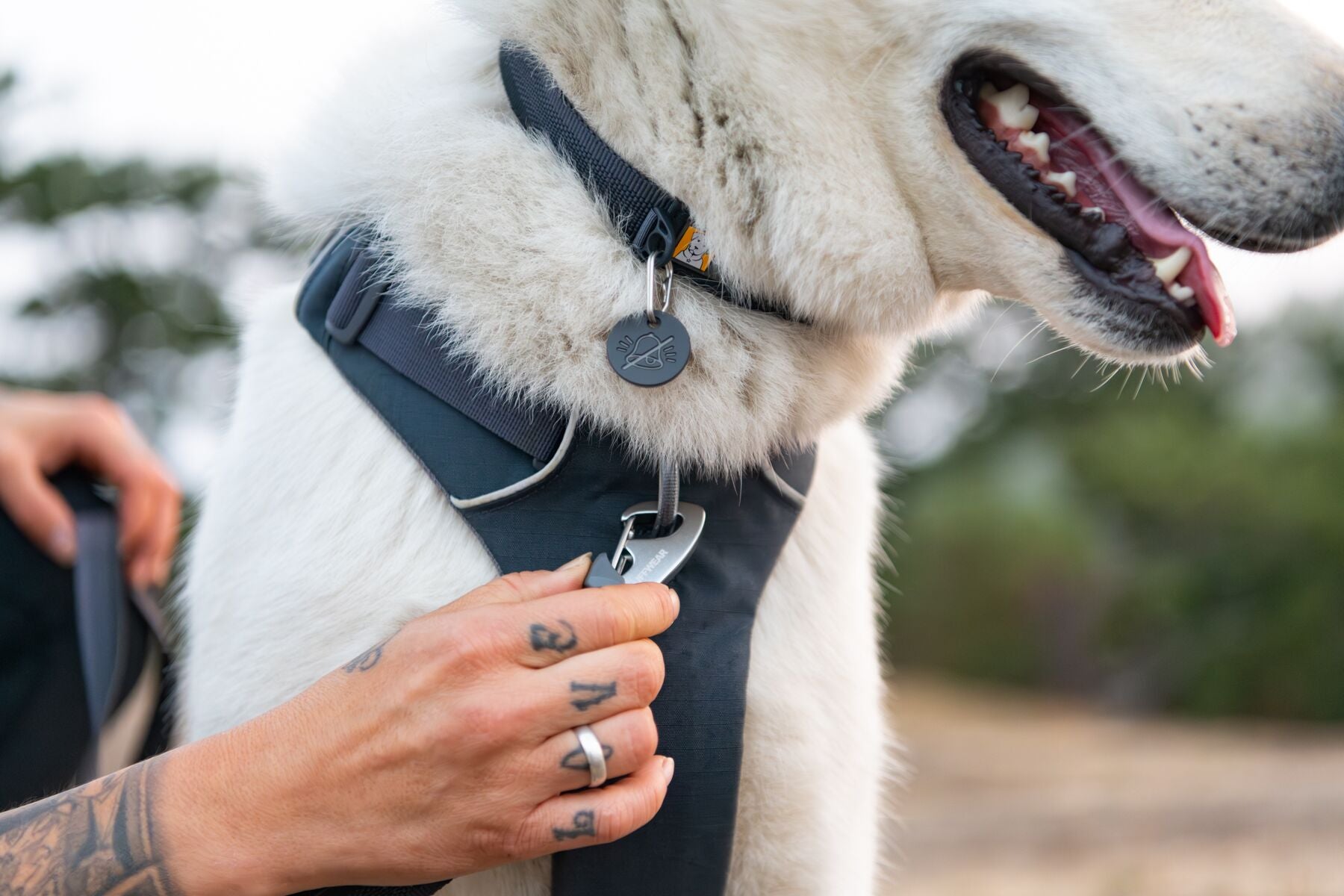 Pechera Para Perro Front Range Harness Gris (Basalt Gray) de Ruffwear