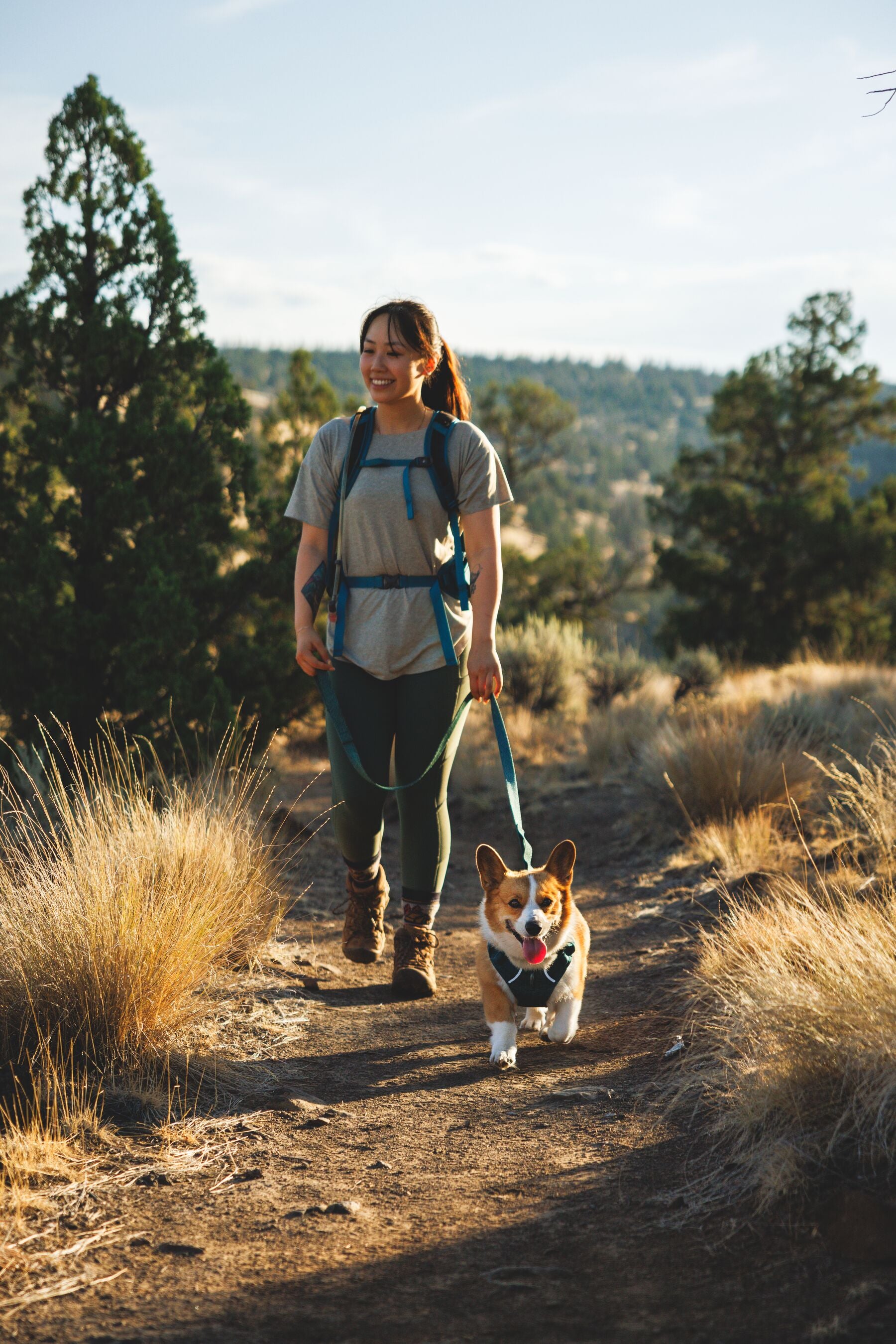 Pechera para Perro Front Range® Flex Harness en Azul Polar (Polar Blue) | Ruffwear