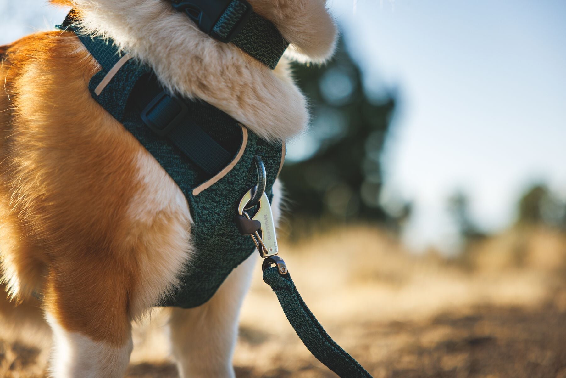 Correa para Perro Front Range™ Flex Leash en Azul Polar (Polar Blue) | Ruffwear