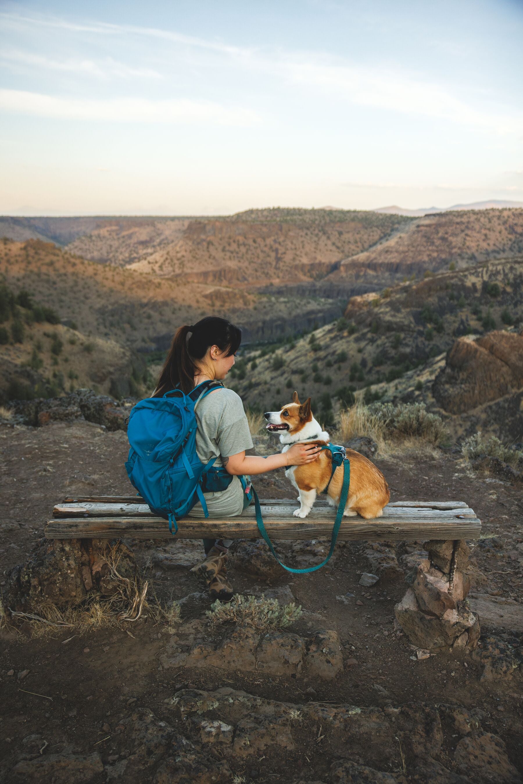 Pechera para Perro Front Range® Flex Harness en Azul Polar (Polar Blue) | Ruffwear