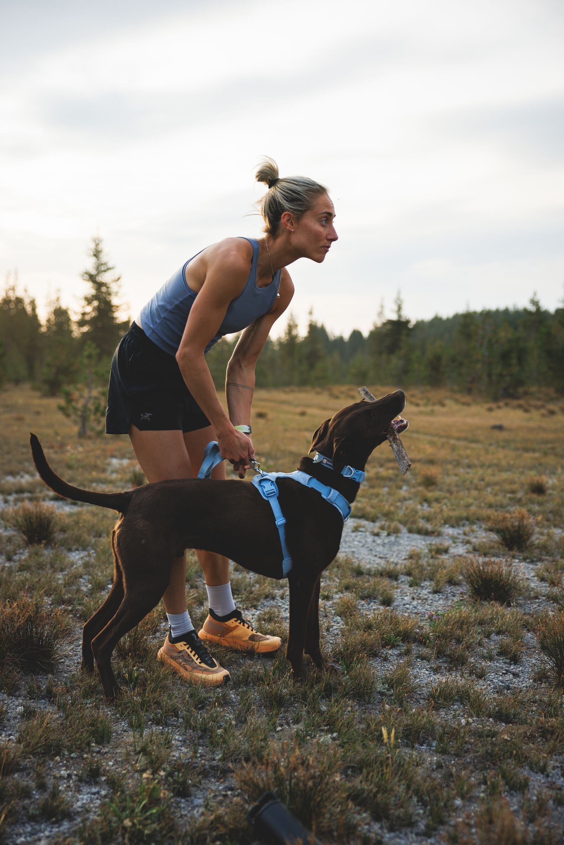 Pechera para Perro Front Range® Flex Harness en Azul Polar (Polar Blue) | Ruffwear