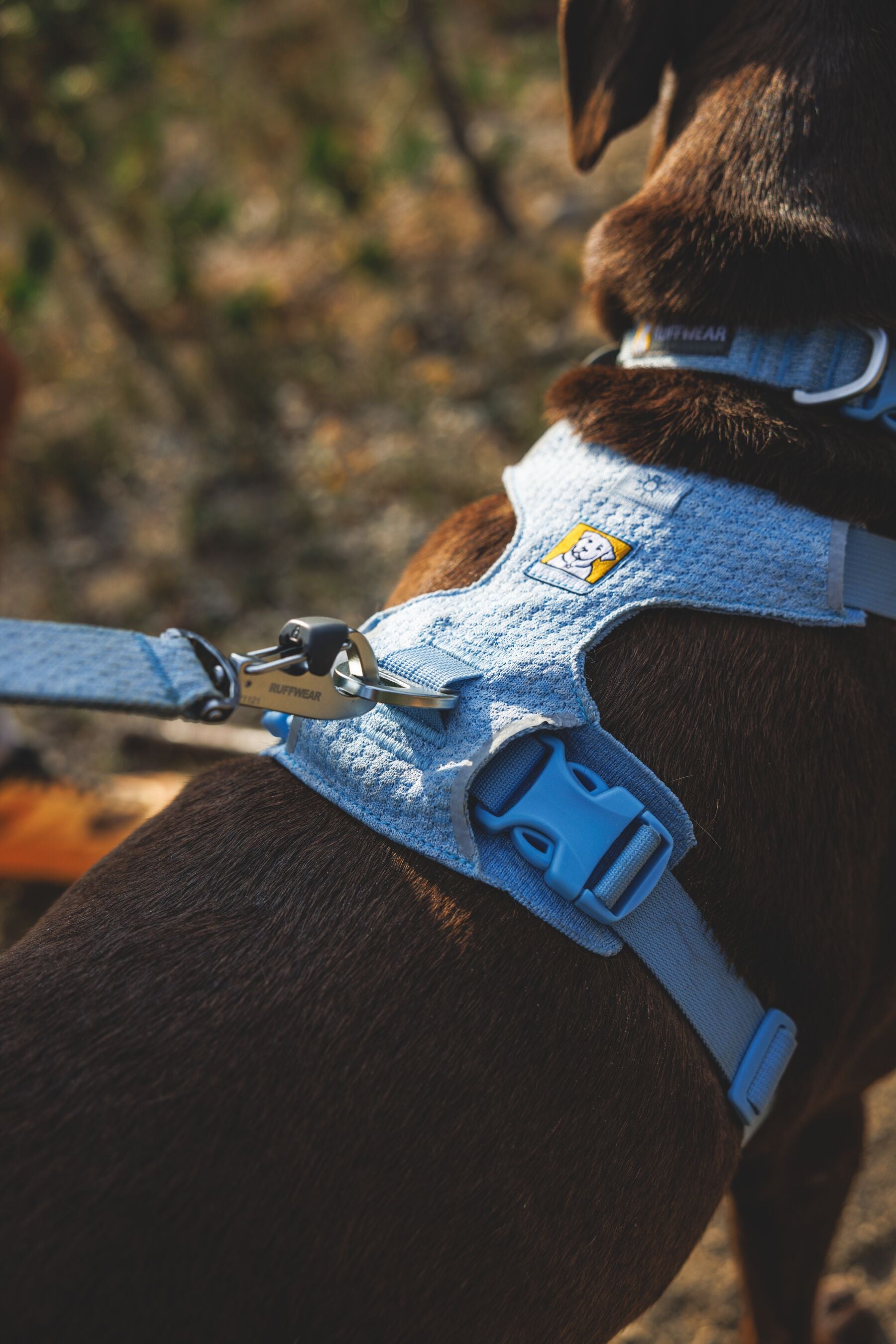 Correa para Perro Front Range™ Flex Leash en Gris Basalto (Basalt Gray) | Ruffwear