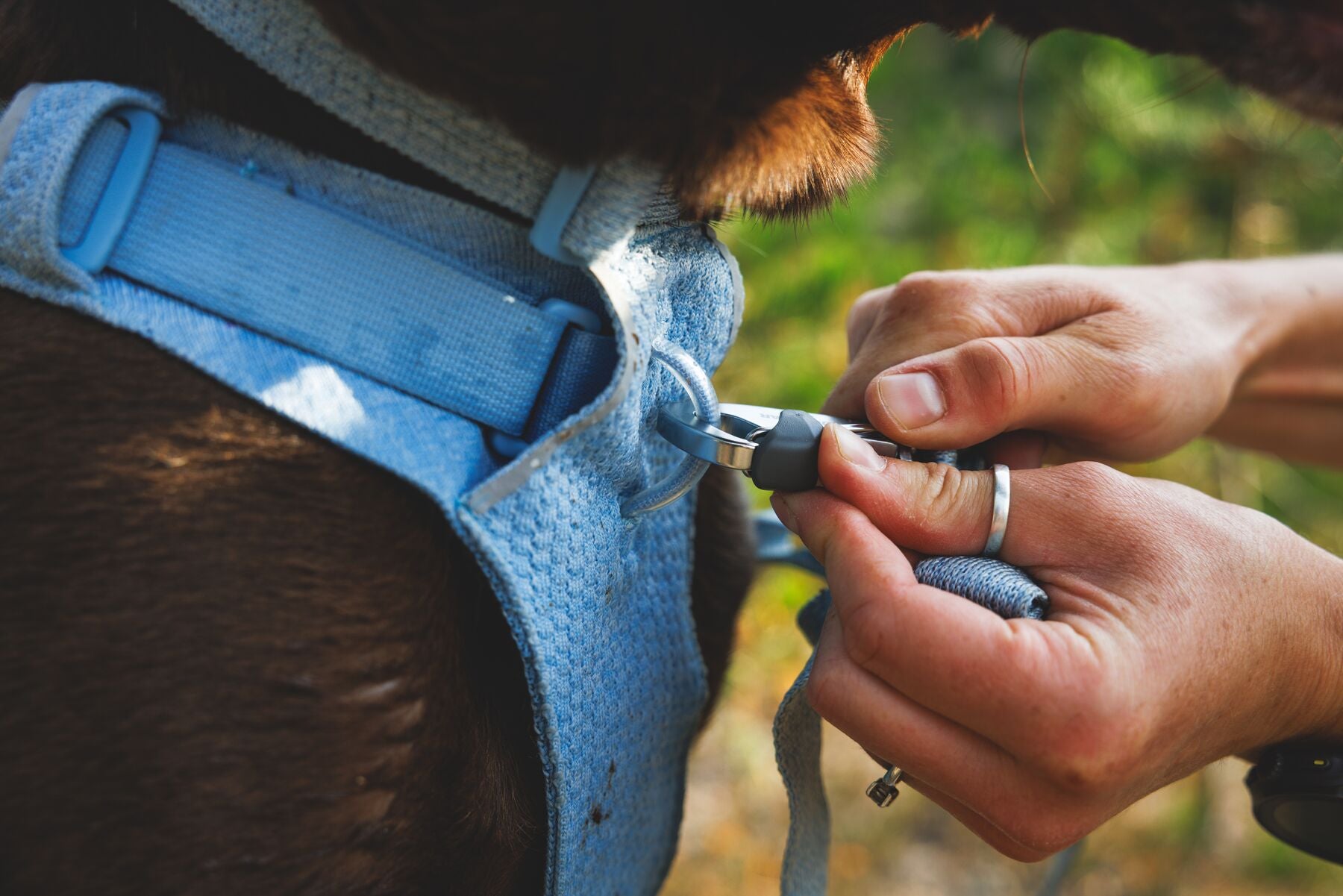 Correa para Perro Front Range™ Flex Leash en Gris Basalto (Basalt Gray) | Ruffwear