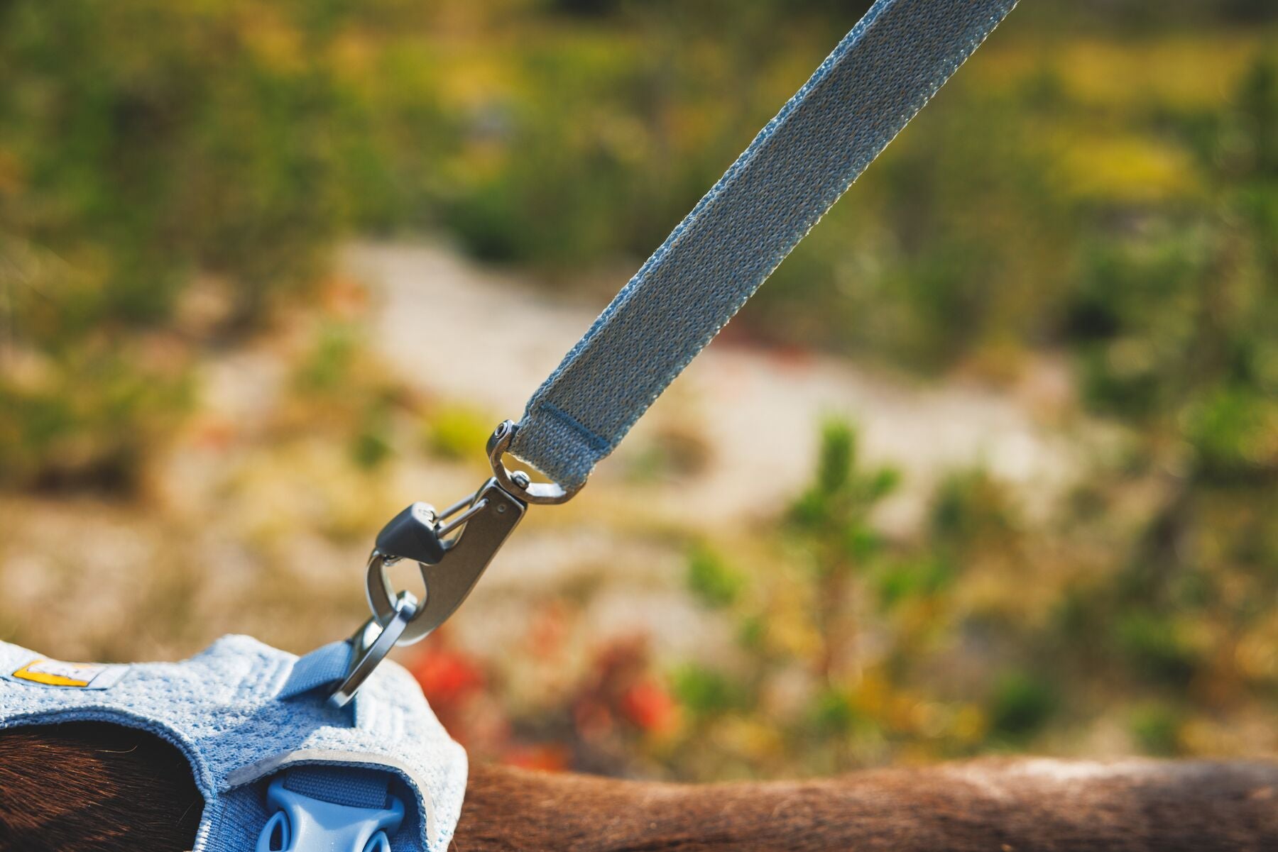 Correa para Perro Front Range™ Flex Leash en Azul Polar (Polar Blue) | Ruffwear