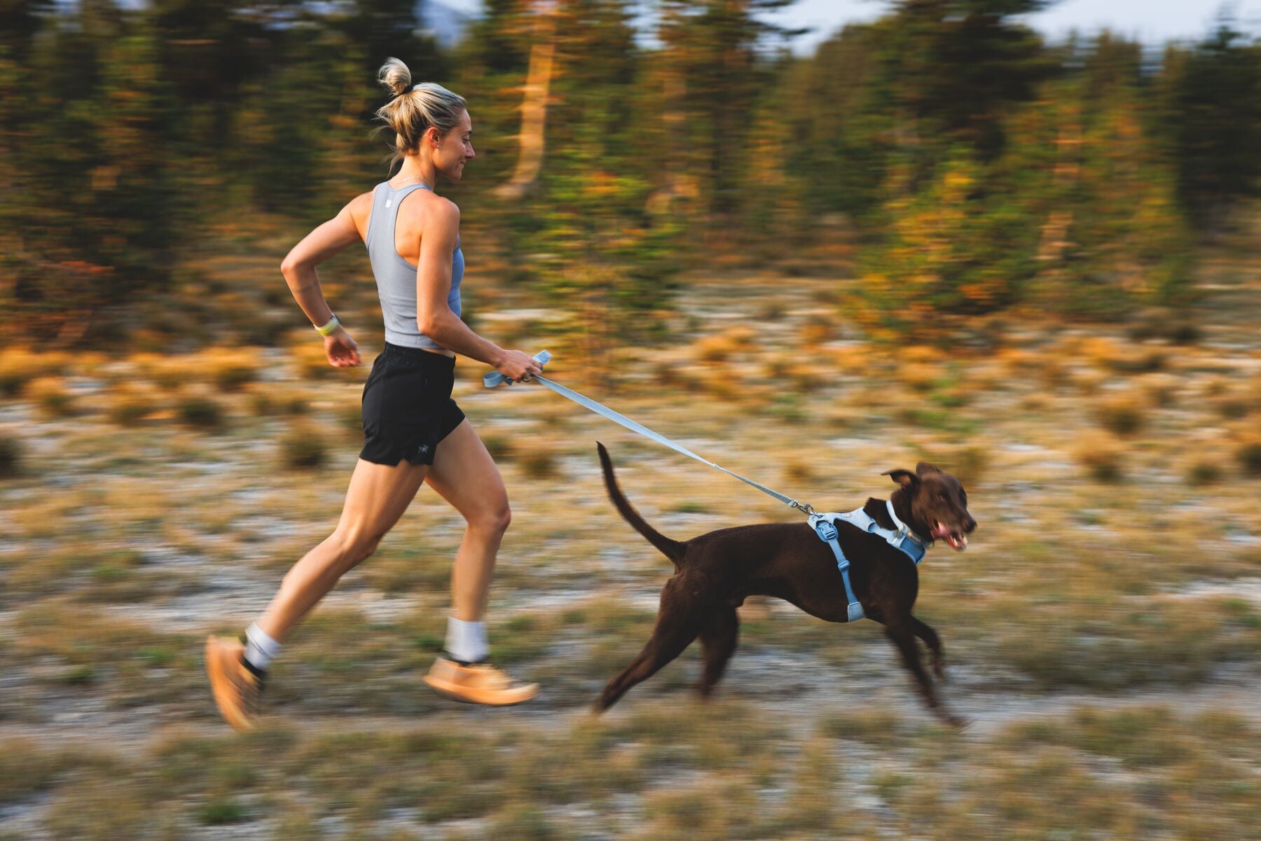 Collar para Perro Front Range™ Flex Collar en Verde Profundo (Deep Teal) | Ruffwear
