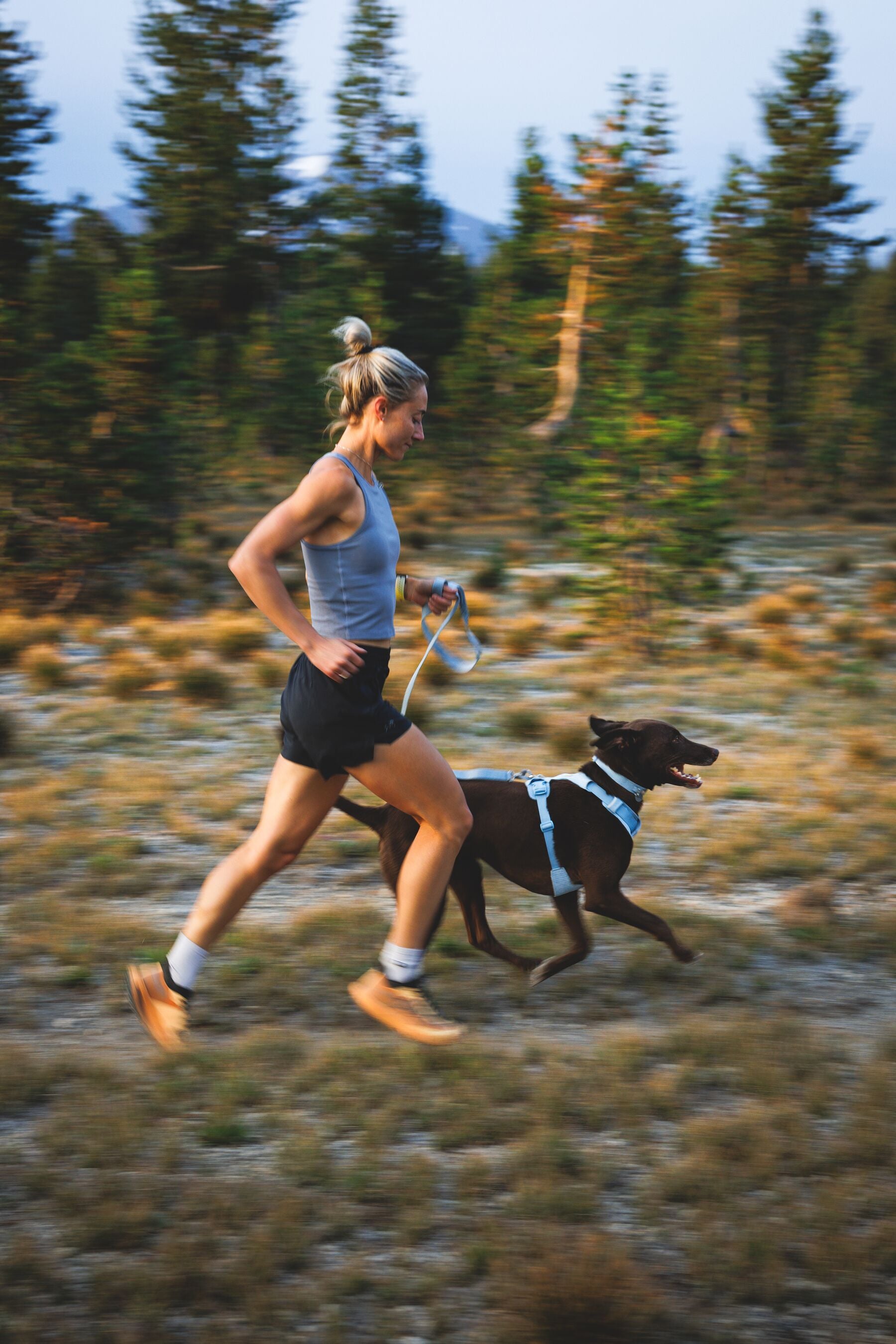 Correa para Perro Front Range™ Flex Leash en Azul Polar (Polar Blue) | Ruffwear
