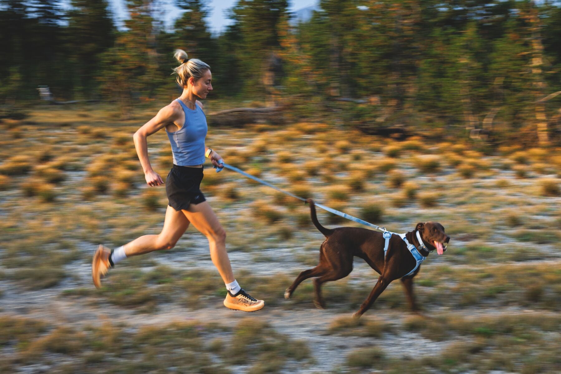 Correa para Perro Front Range™ Flex Leash en Azul Polar (Polar Blue) | Ruffwear