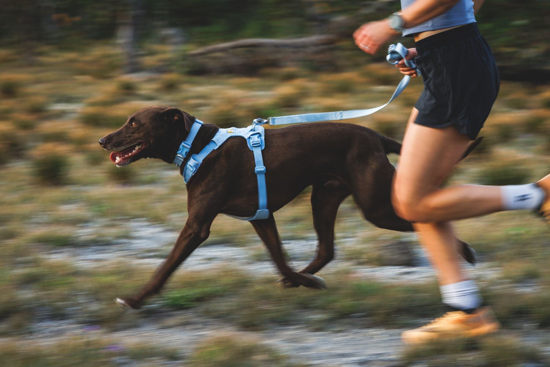 Pechera para Perro Front Range® Flex Harness en Azul Polar (Polar Blue) | Ruffwear