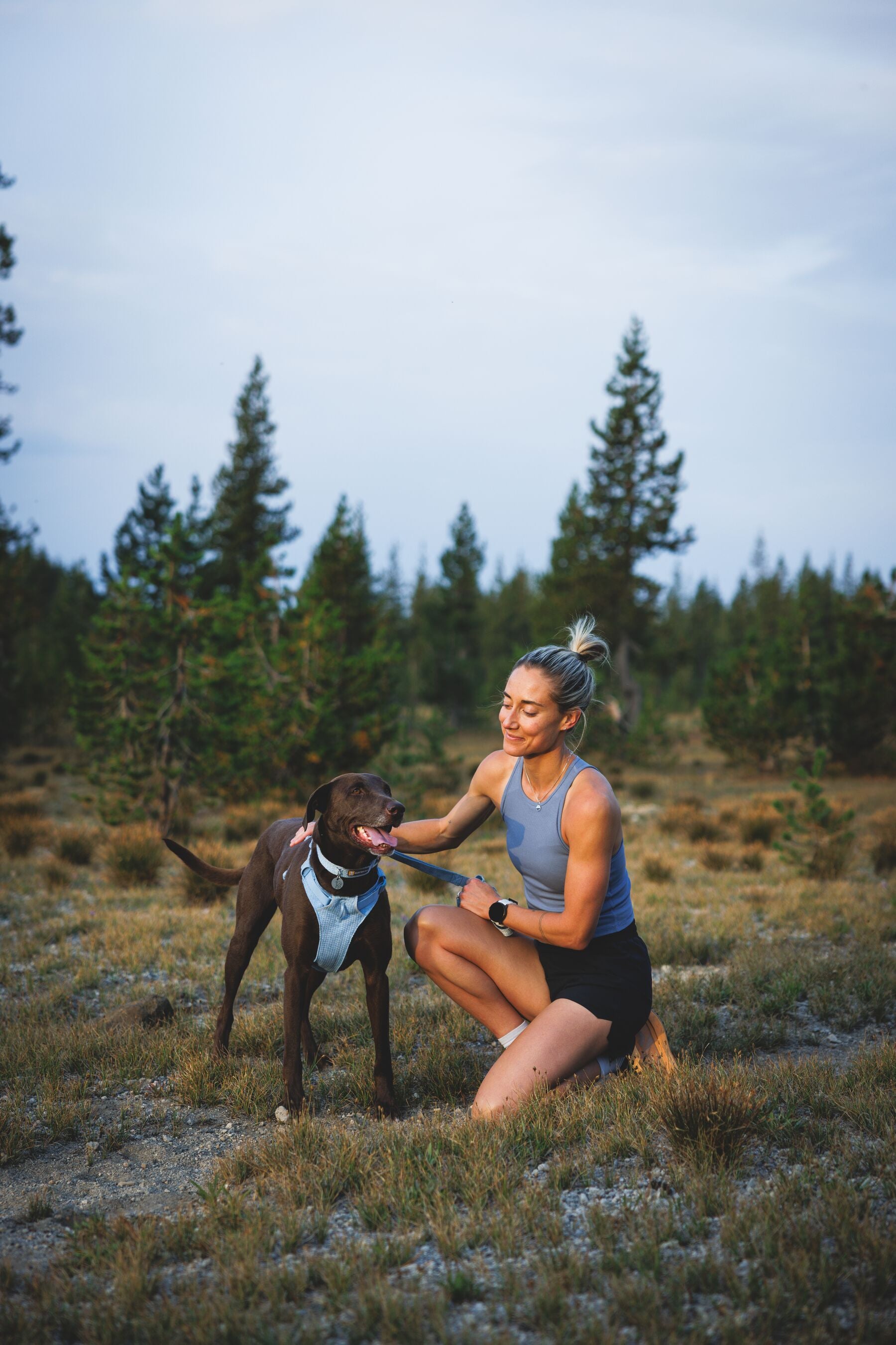 Pechera para Perro Front Range® Flex Harness en Azul Polar (Polar Blue) | Ruffwear
