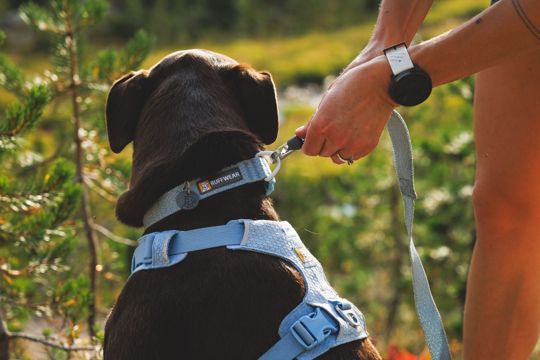 Pechera para Perro Front Range® Flex Harness en Azul Polar (Polar Blue) | Ruffwear